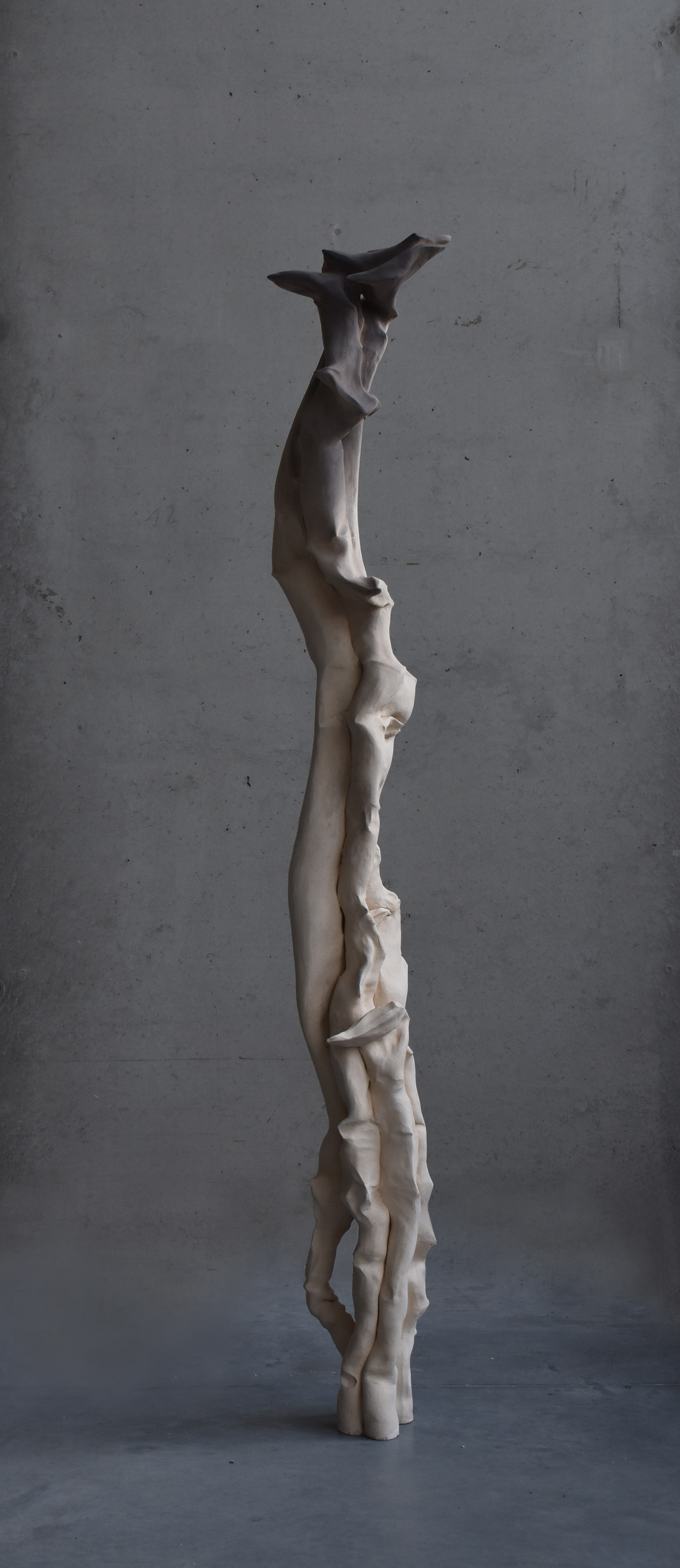 CB27 ARTPRIZE 27 DARIA KOWALEWSKA 3 SYMBIOSIS DURING GROWTH RUSTLING IMAGINATION SERIES
