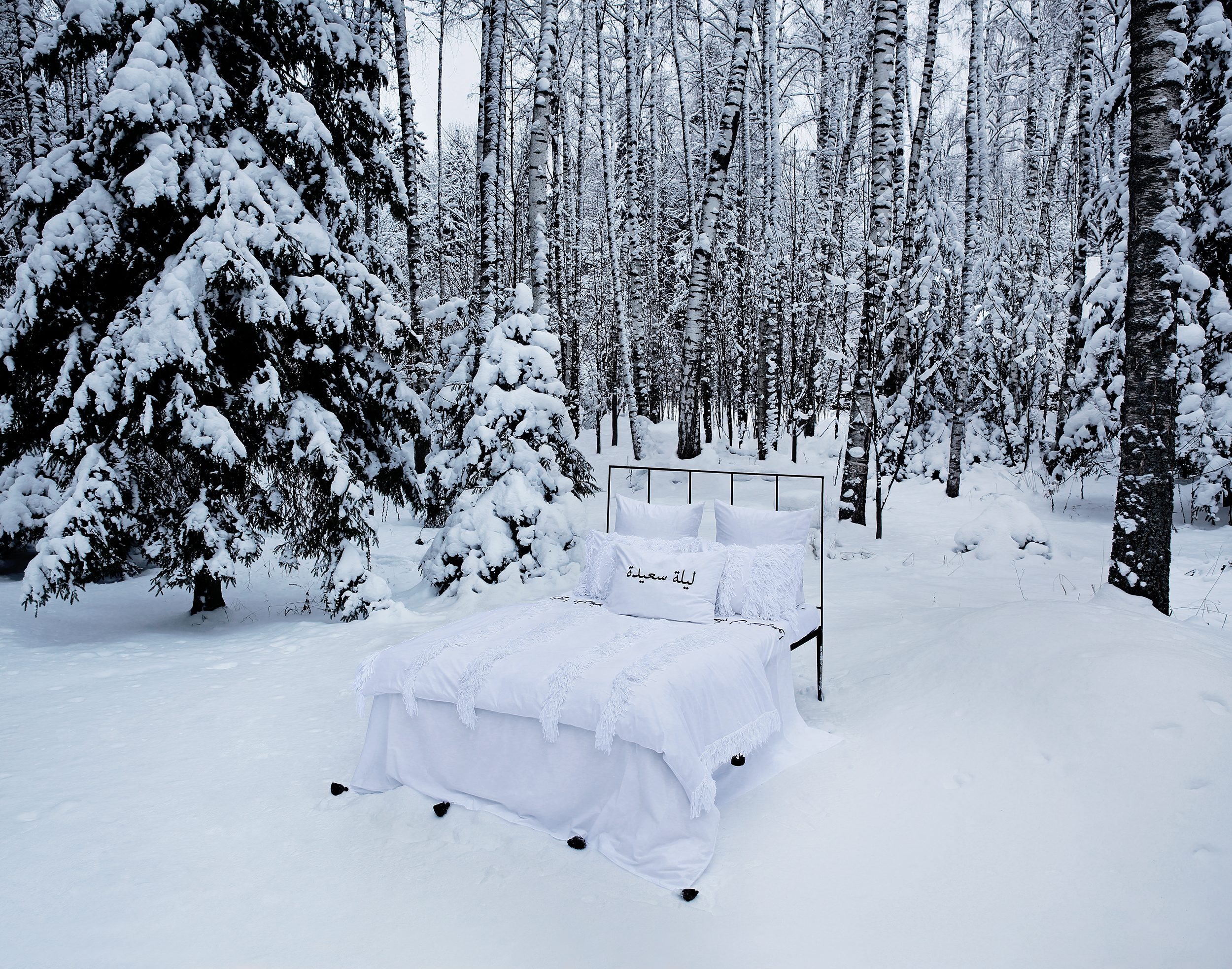 VALERIE BARKOWSKI CAMPAIGN BED LINEN BLANC OTIS NOIR 9 CREDIT TANIA PANOVA