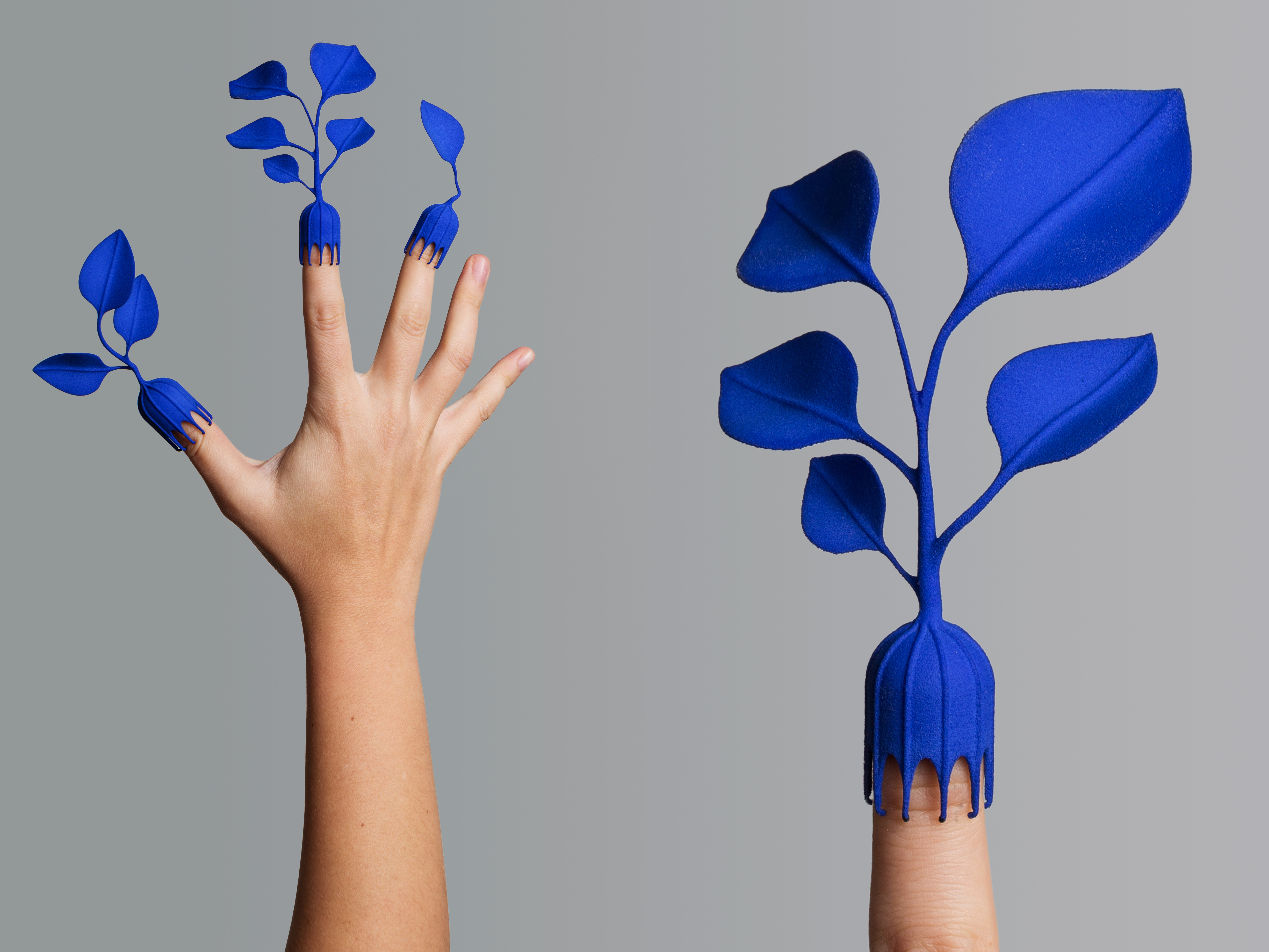 CID SPD02 FRANCESCA LANZAVECCHIA AND HUNN WAI METAMORFOSI VEGETALI CREDIT DAVIDE FARABEGOLI