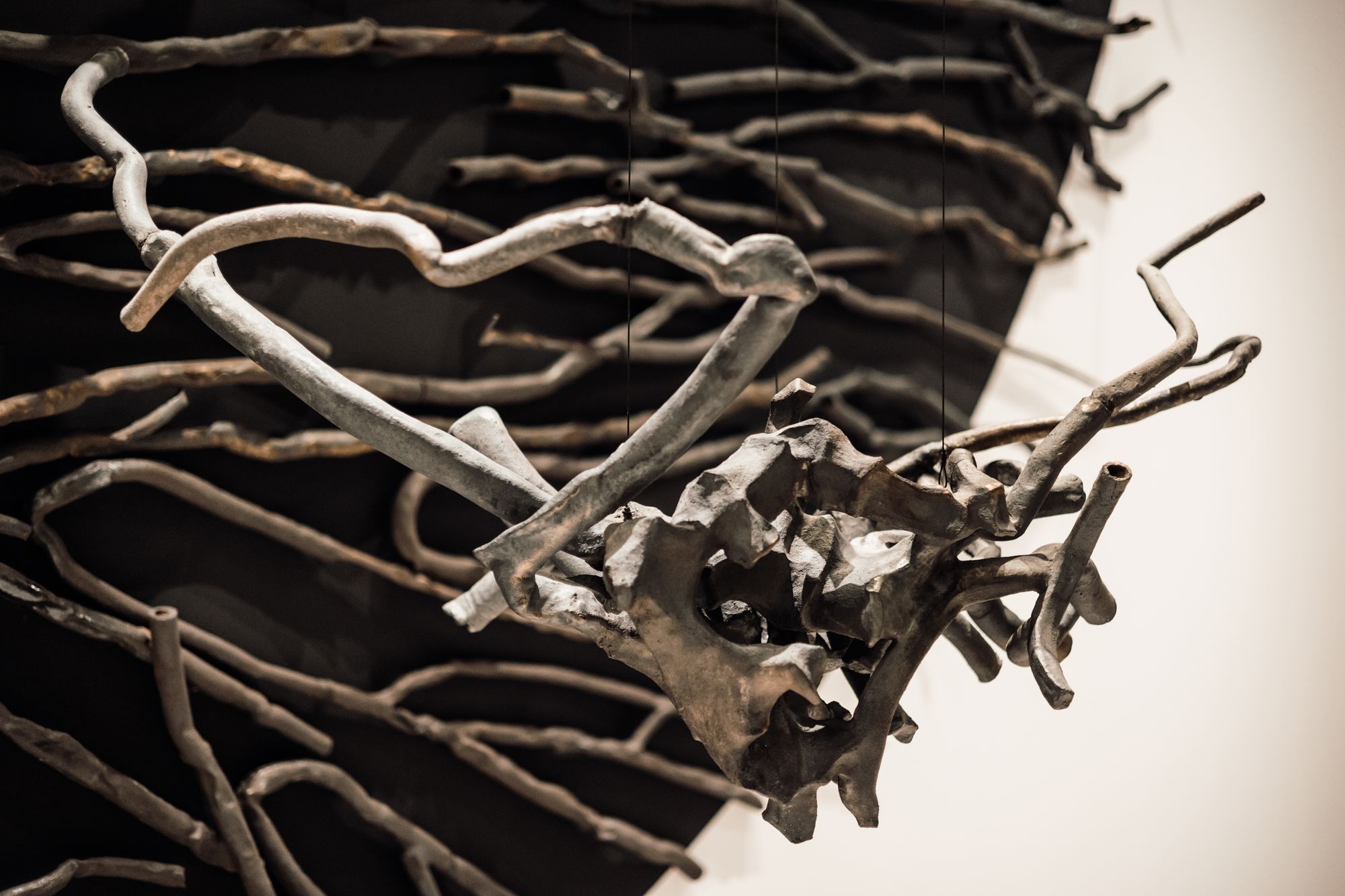 CB27 ARTPRIZE 27 DARIA KOWALEWSKA 9 SUNRISE CERAMIC INSTALLATION CREDITS DZIKIE STUDIO OP ENHEIM GALLERY