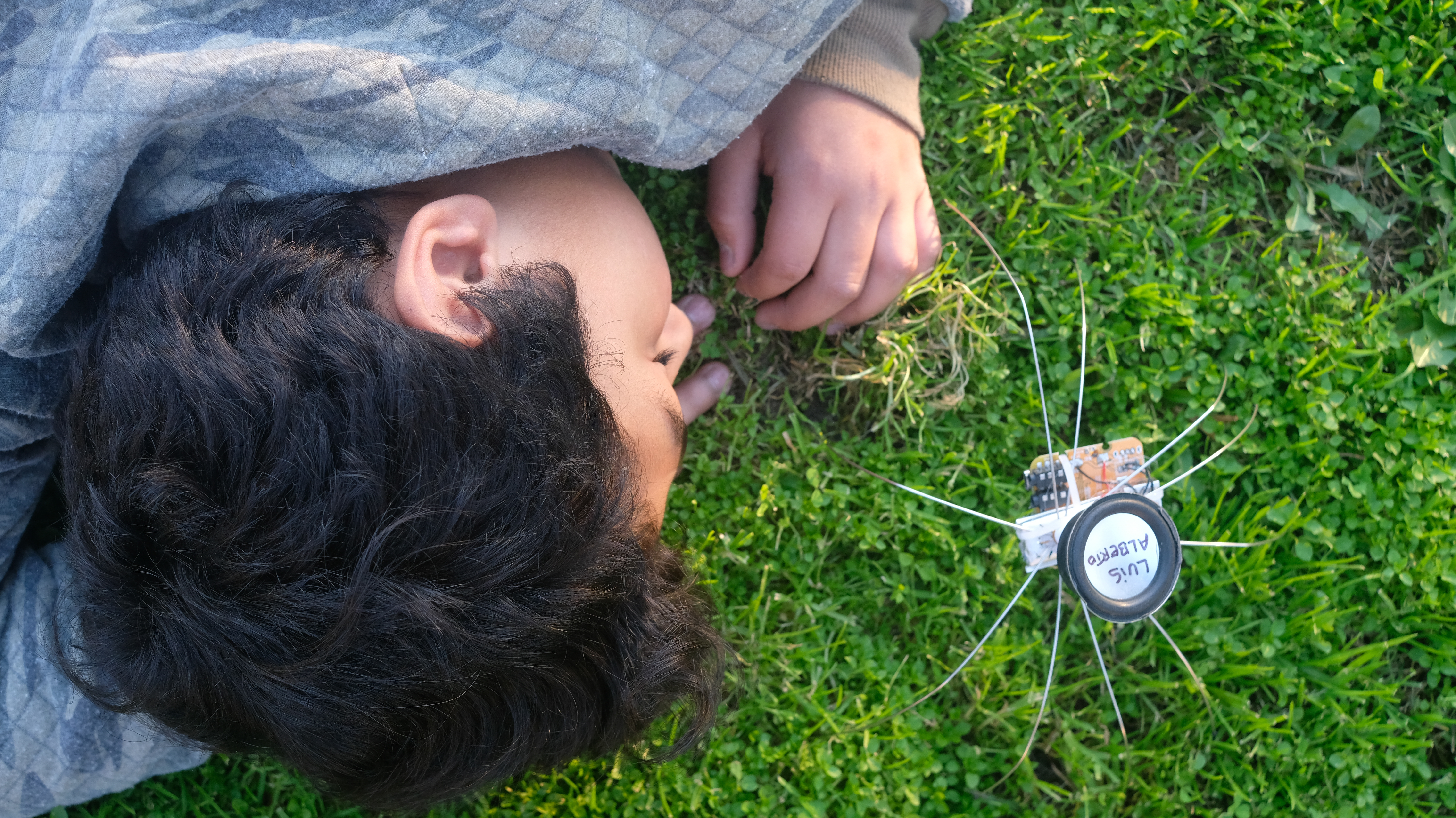 CID MEMO (MEMO30) FELIX BLUME LOS GRILLOS DEL SUENO PHOTO FELIX BLUME