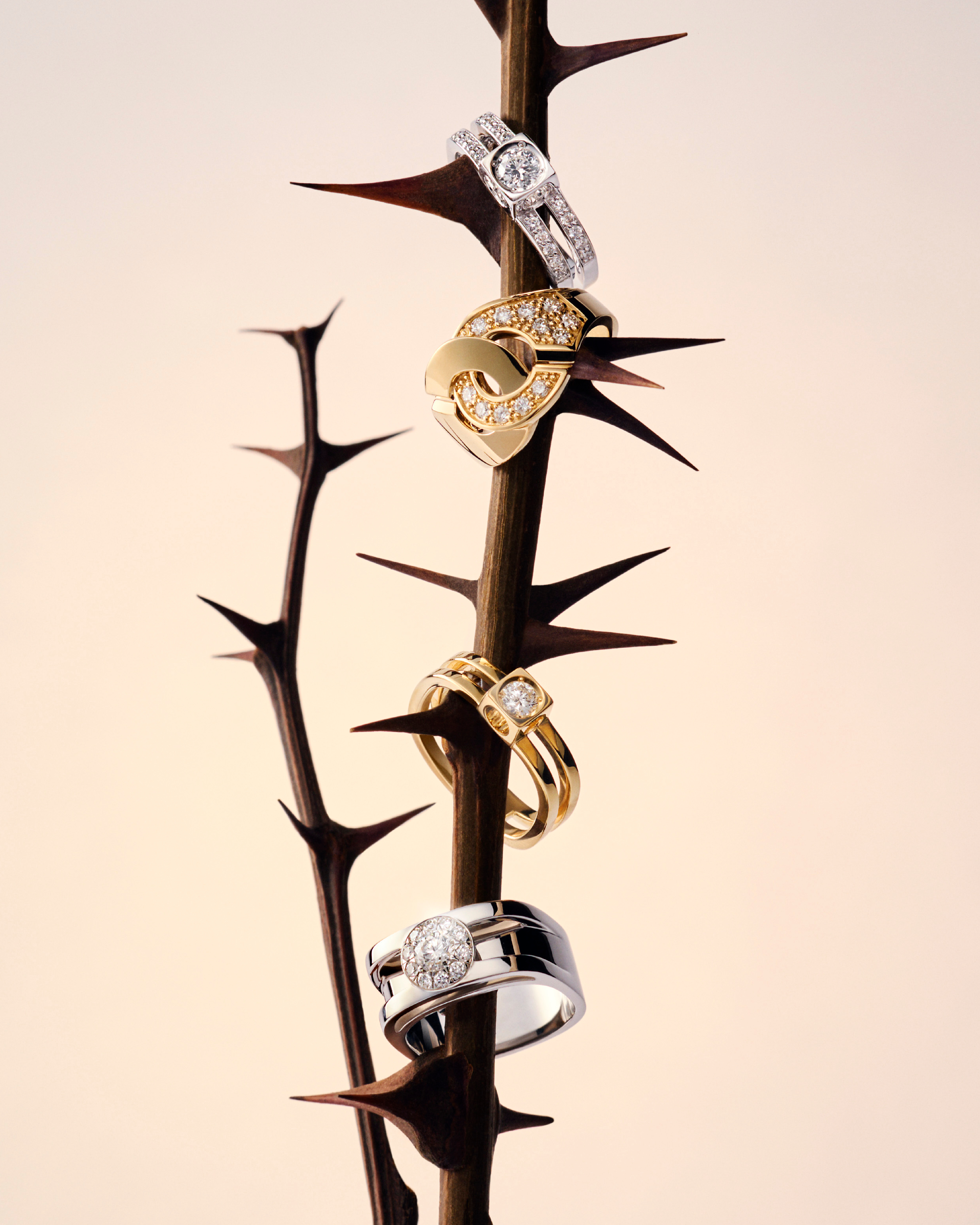 DINH VAN VALENTINES DAY 3