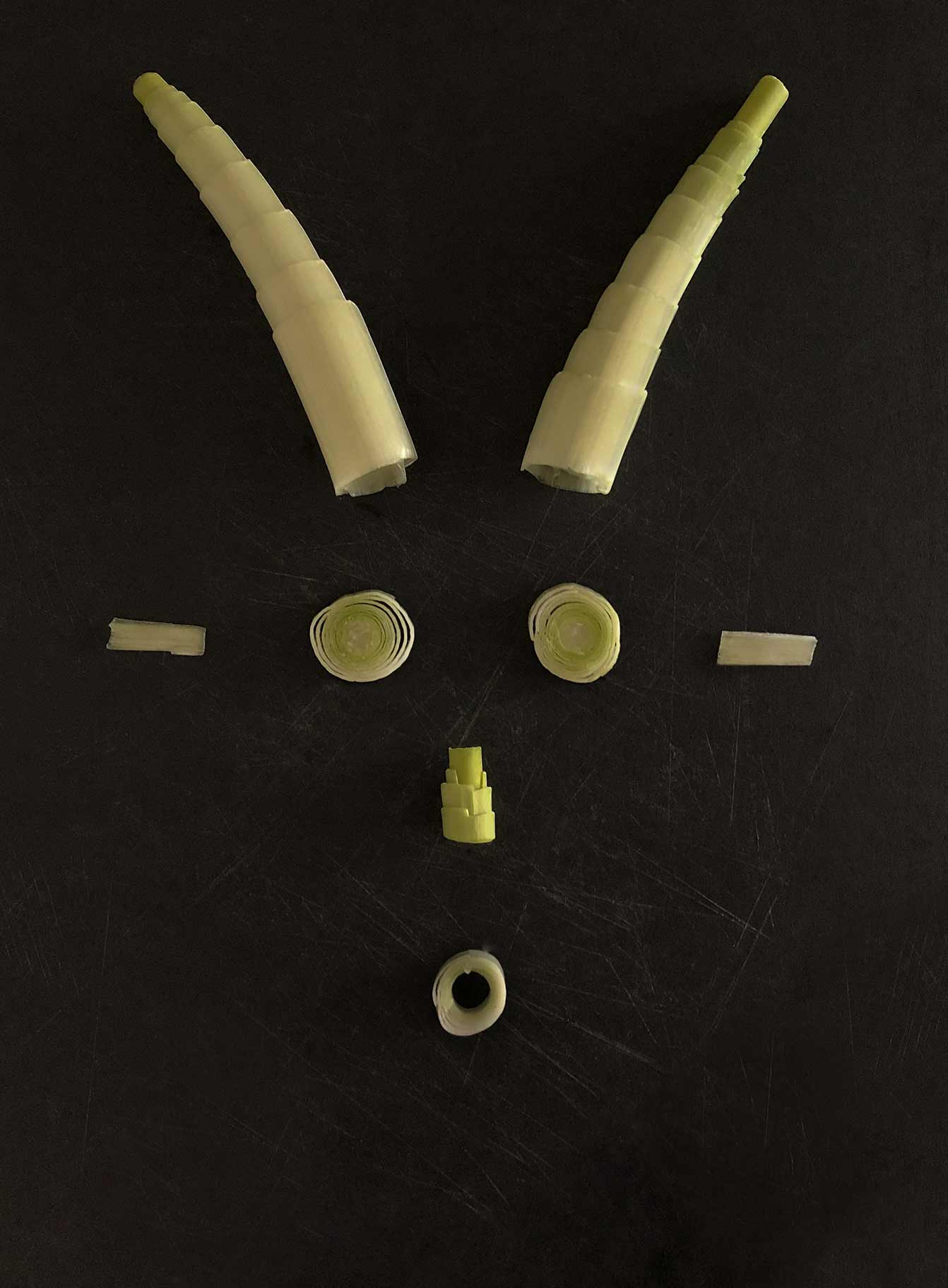 VALERIEBARKOWSKI PRIMITIVES MR MANITOBA NR49 CREDIT VALERIE BARKOWSKI