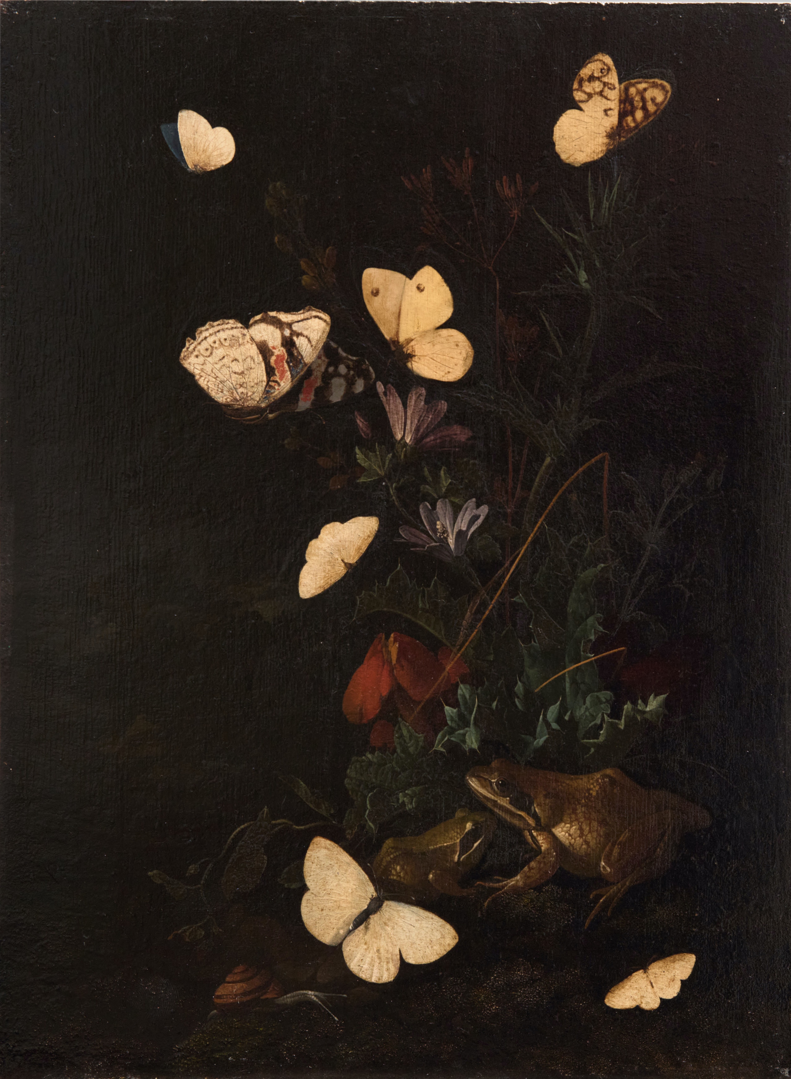 THE ROOMS COSTERMANS 260116 25026B (1)