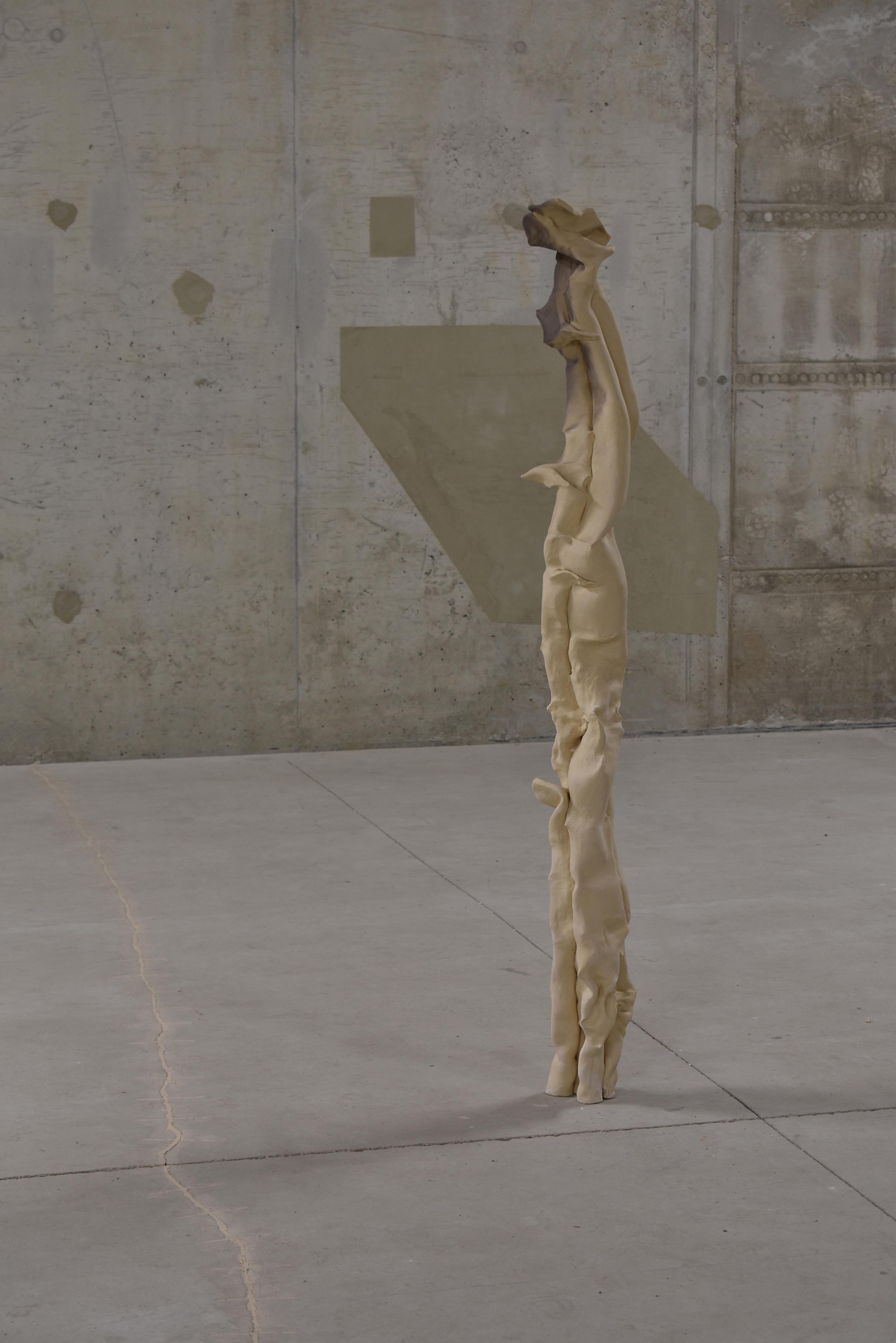 CB27 ARTPRIZE 27 DARIA KOWALEWSKA 3 SYMBIOSIS DURING GROWTH RUSTLING IMAGINATION SERIES (2)