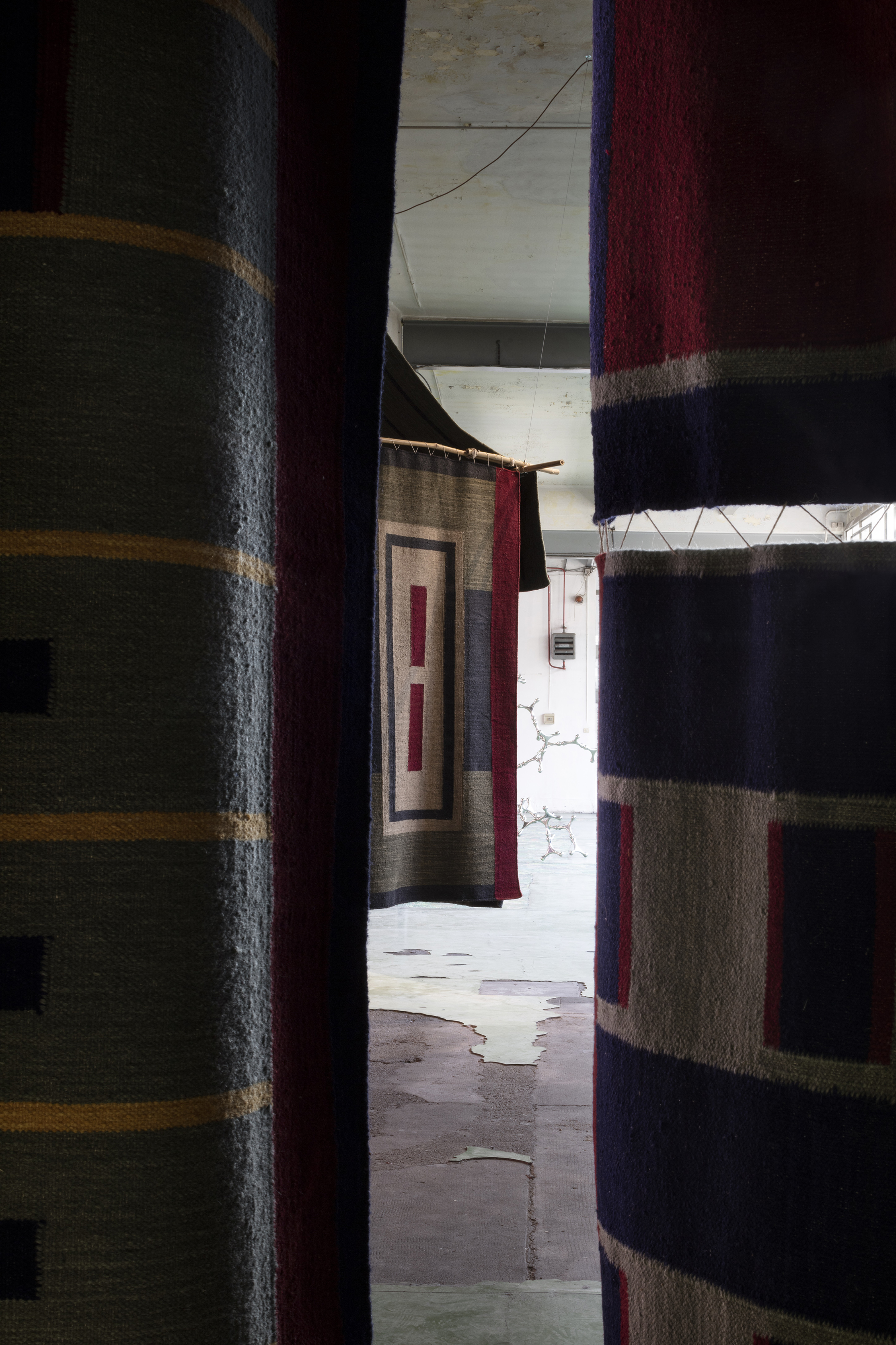 CID  DL06. MICHELE DE LUCCHI  