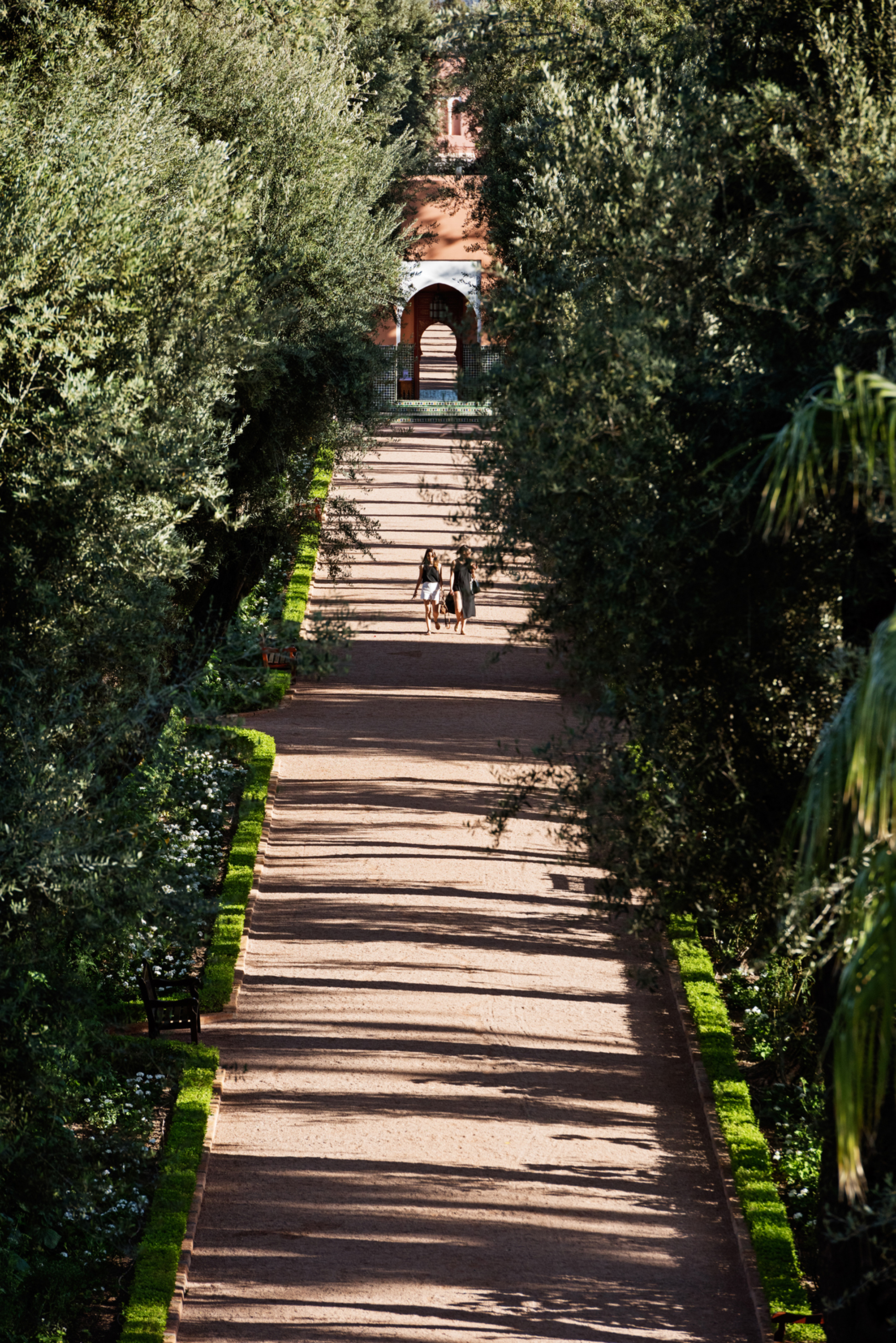 LA MAMOUNIA THE GARDENS 01