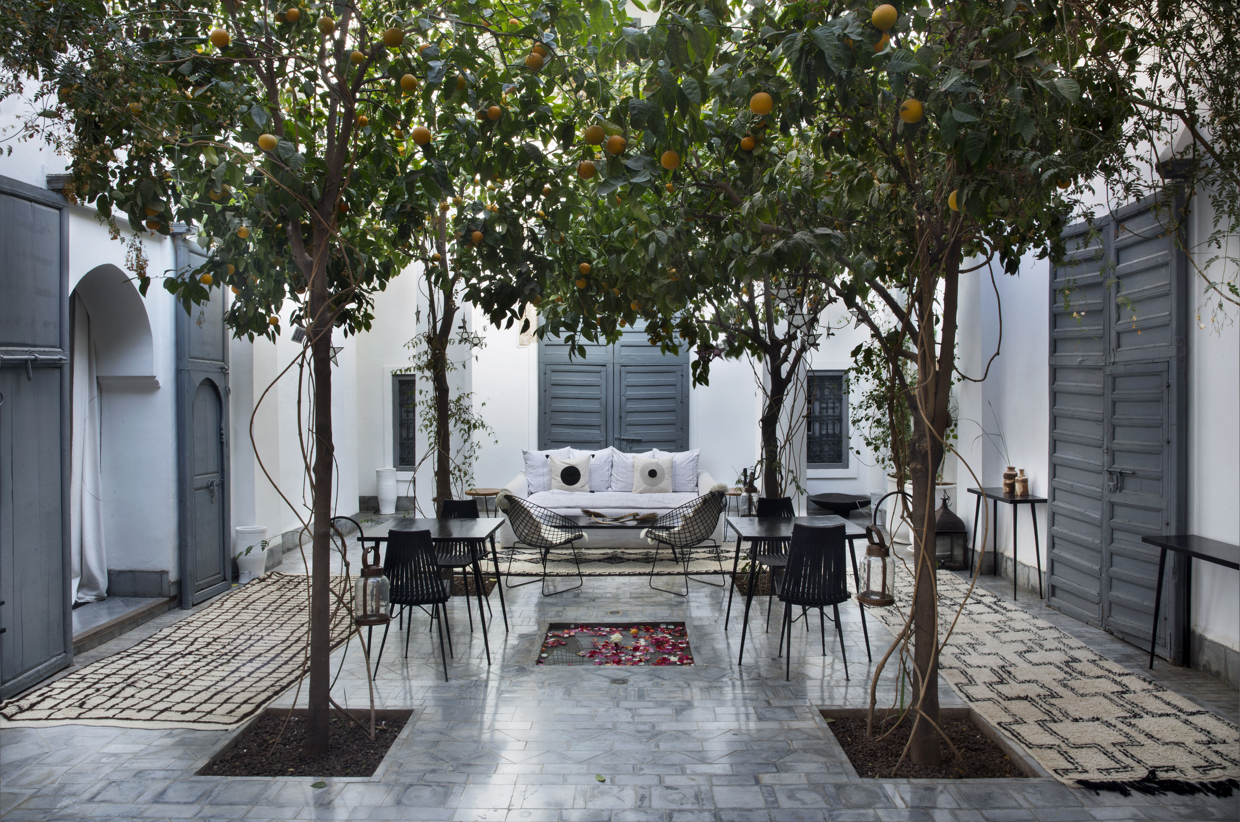 VALERIE BARKOWSKI DAR KAWA PATIO CREDIT TANIA PANOVA 2