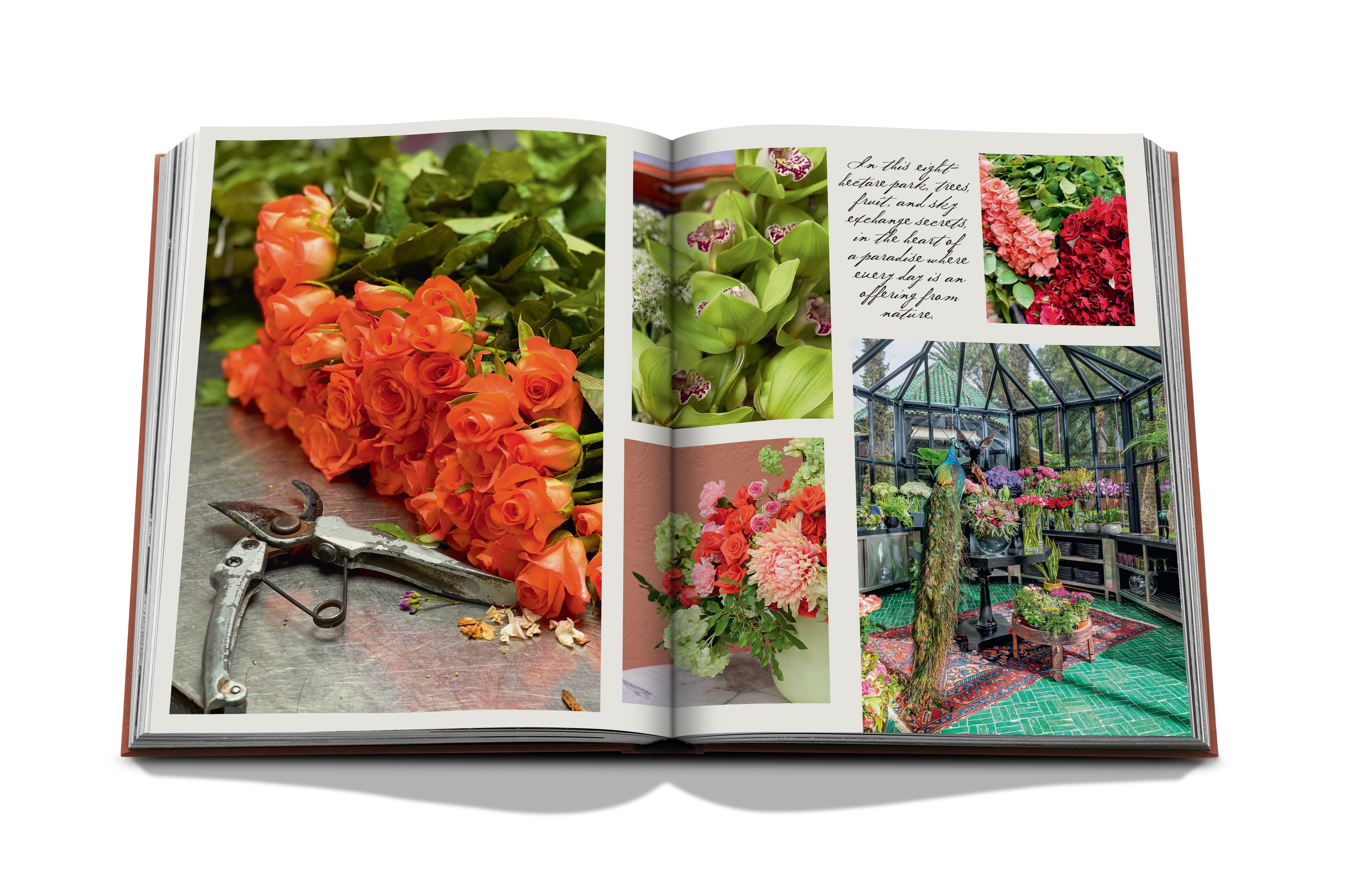 LA MAMOUNIA SPREAD 5