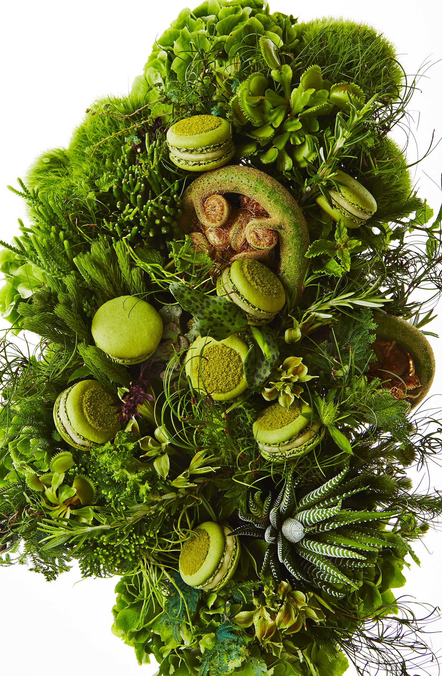 NEWS PIERRE HERME AT LA MAMOUNIA PE17 MAC JARDIN MOUSSES CADRE HD