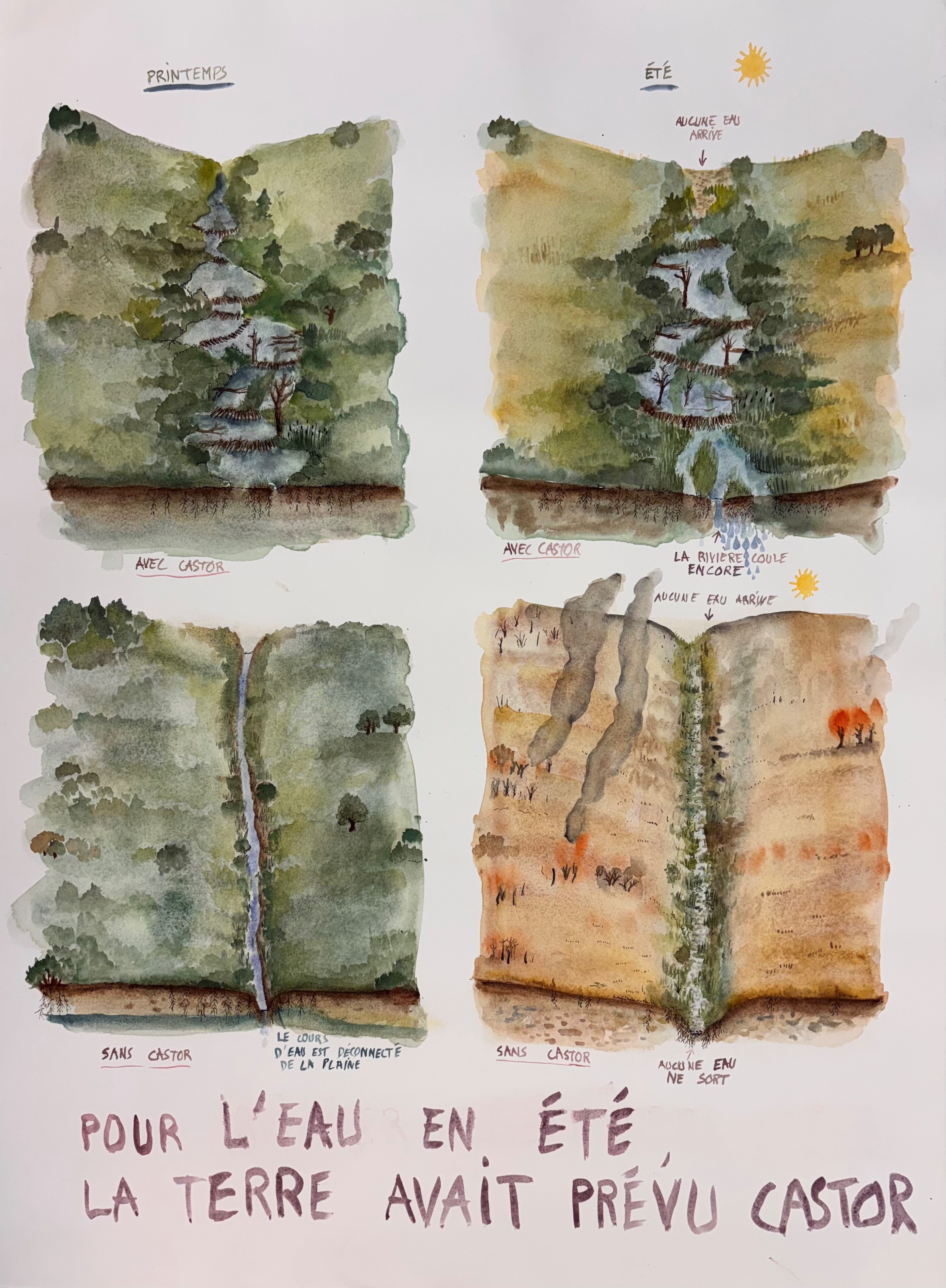 CID MEMO (MEMO31) SUZANNE HUSKY CASTOR FIBER COURTESY GALERIE ALAIN GUTHARC