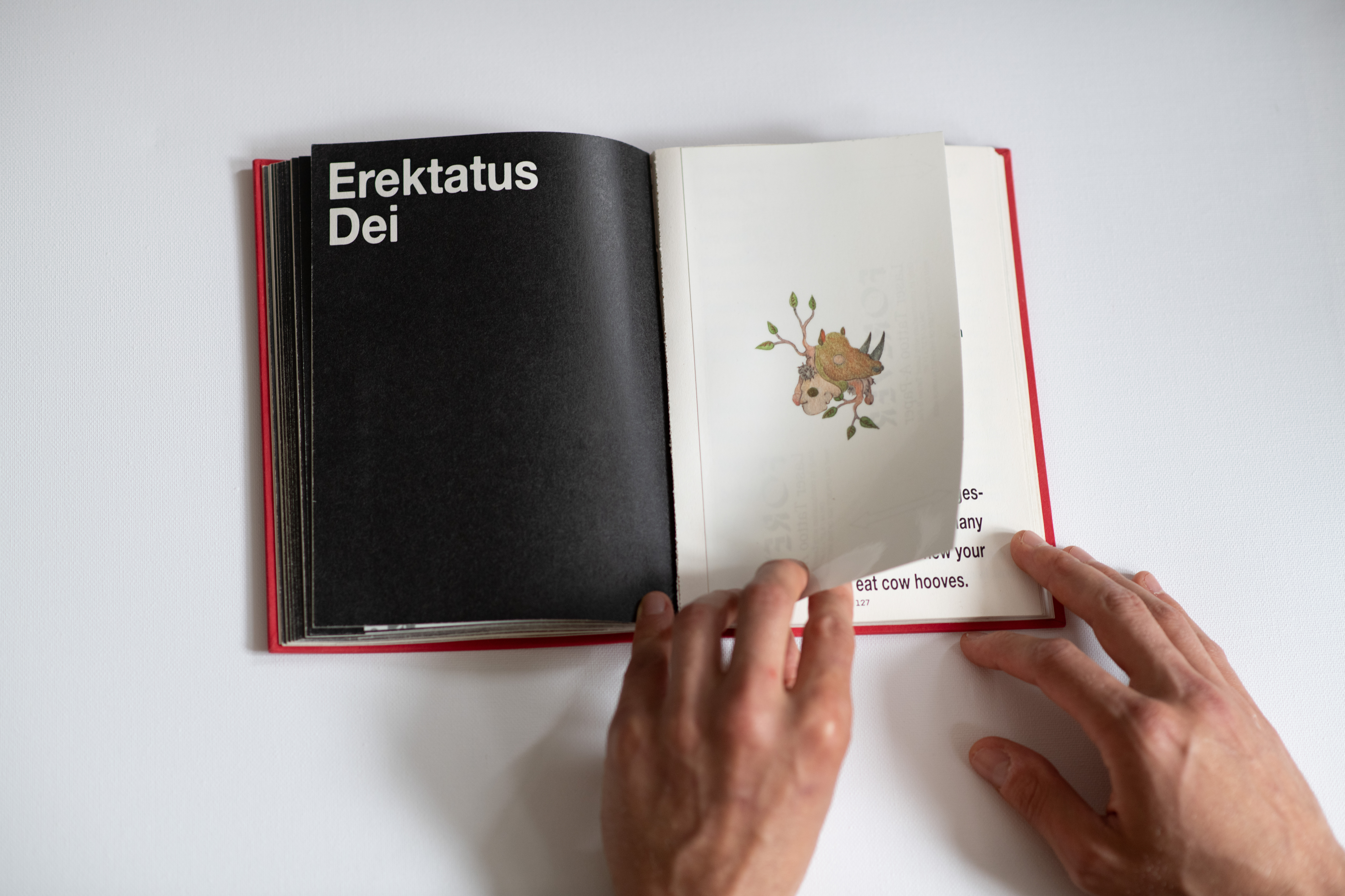 CB27 ARTPRIZE 27 DOMINIK ADAMEC AUTHORS BOOK STERBEN IST MEIN GEWINN 2025 FROM THE END OF PYRAMIDS CREDIT GARETH HARMER 