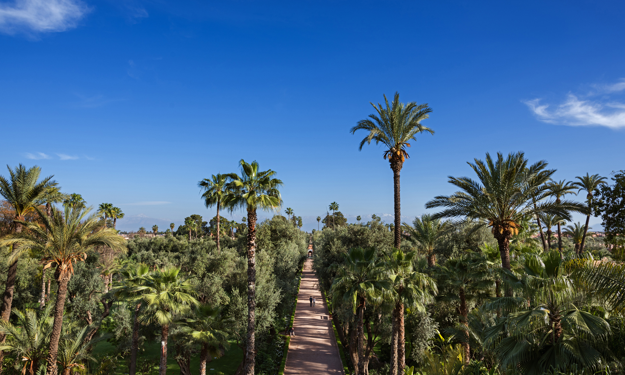 LA MAMOUNIA THE GARDENS ALLEE MAGISTRALE