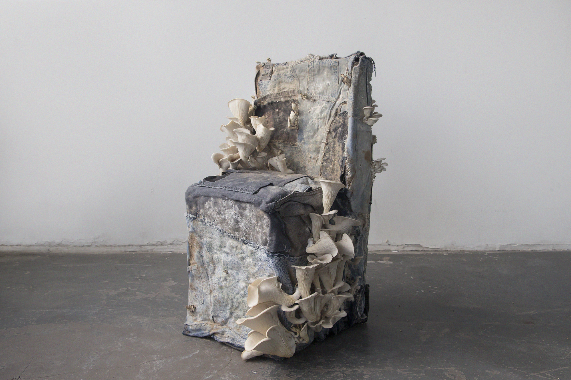 CID AL37 CID ALEA WORK MIRIAM JOSI ET STELLA LEE PROWSE DIRTY CHAIR N4 2026 PHOTO CID ALEA WORK