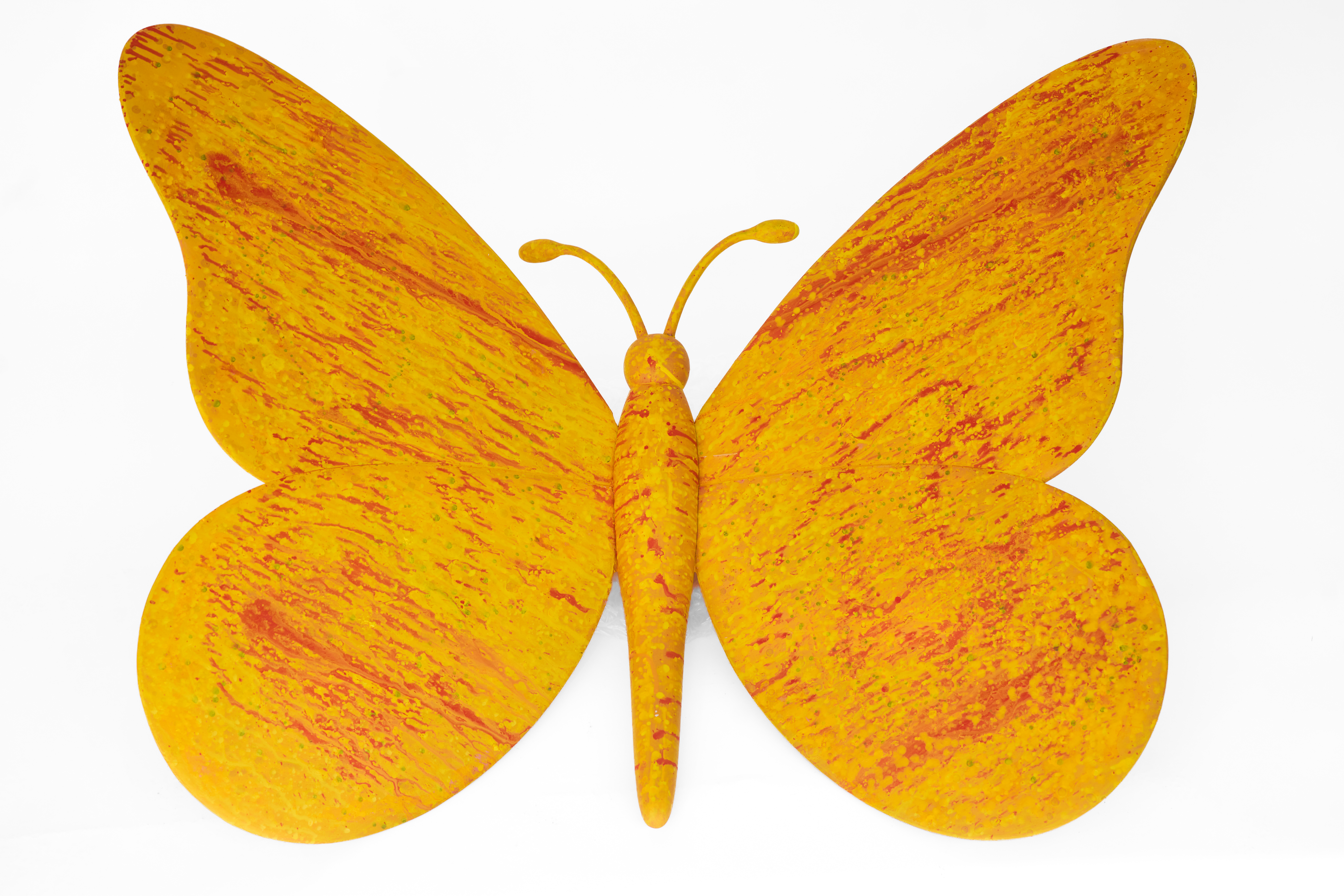 THE BUTERFLY EFFECT PIERRE THOMA