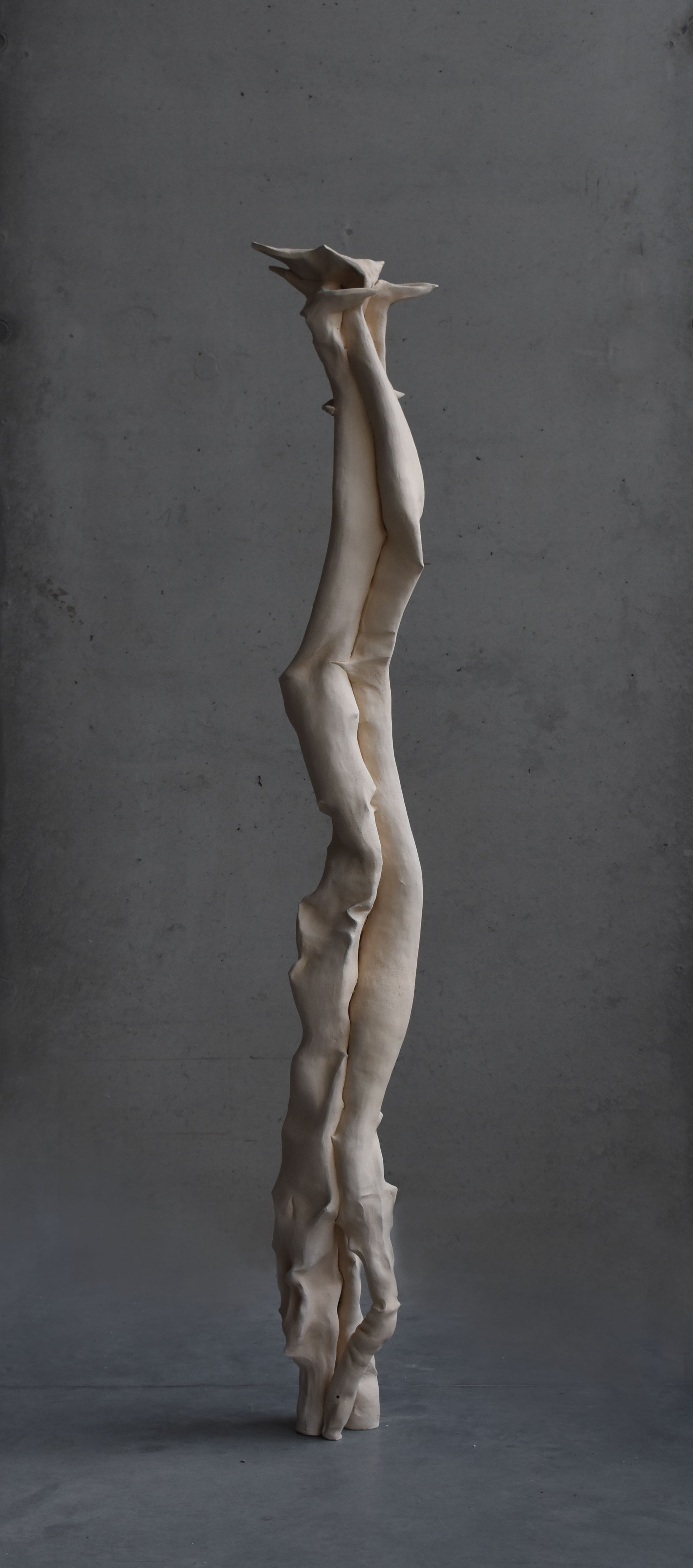 CB27 ARTPRIZE 27 DARIA KOWALEWSKA 3 SYMBIOSIS DURING GROWTH RUSTLING IMAGINATION SERIES (3)