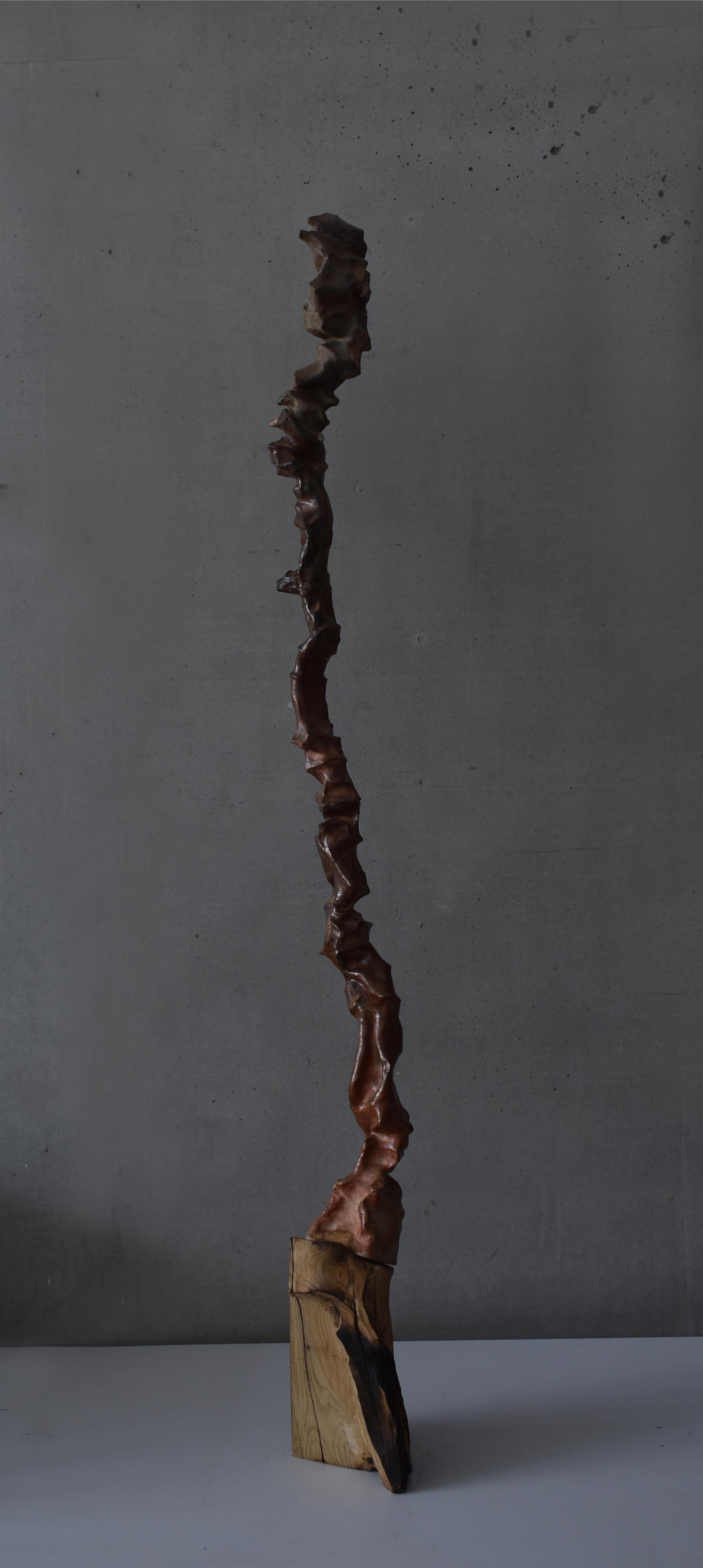 CB27 ARTPRIZE 27 DARIA KOWALEWSKA 2 LIFE FROM A TREE