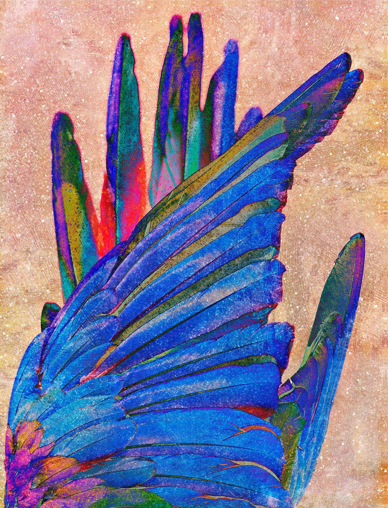 AAF26 LE FOLLOW 13 DENIS FELIX HANNIBAL CHAMBRE GRAND FORMAT 4X5 SUR FILM ARGENTIQUE TIRAGE FINE ART 130X100CM 6500EUR