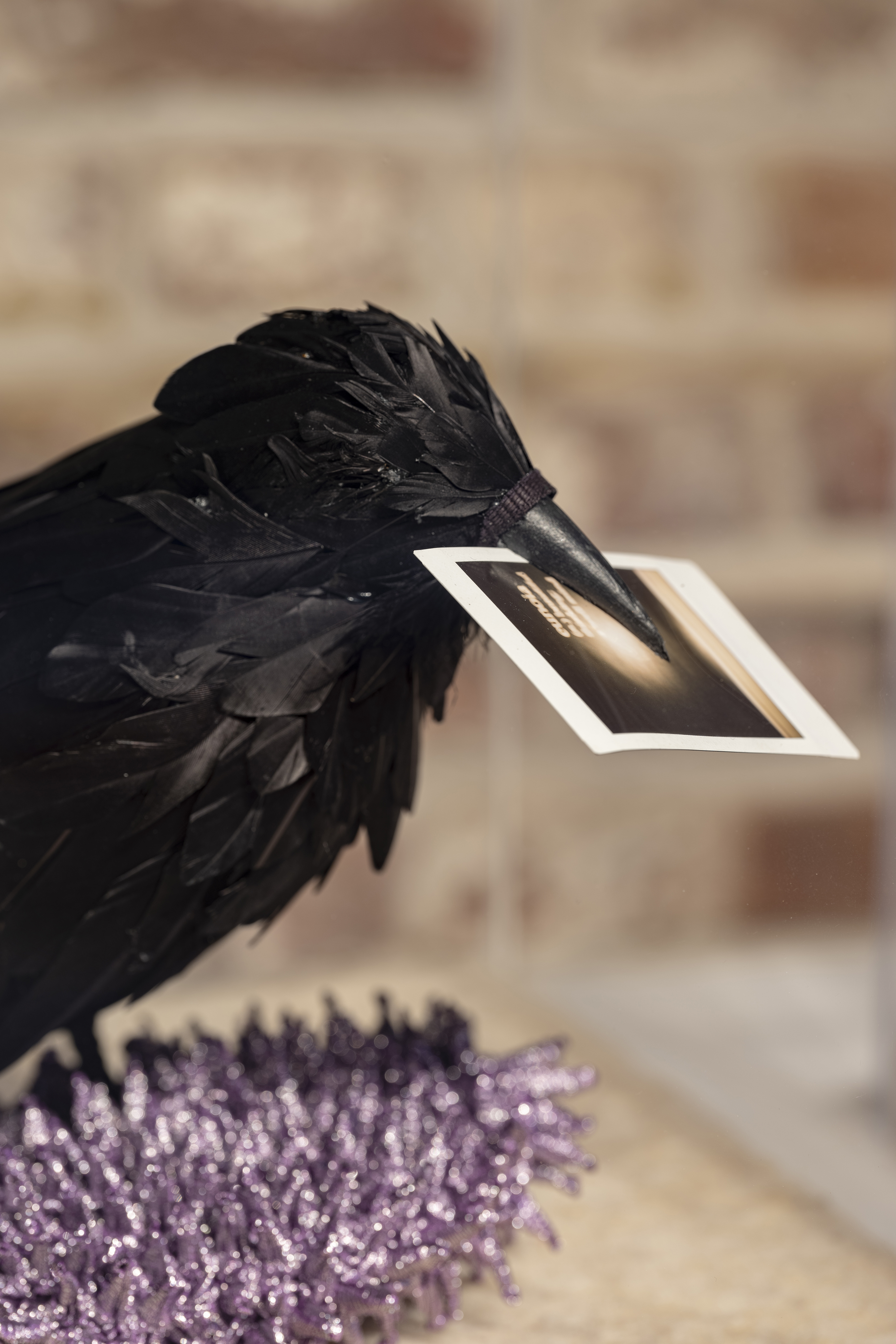 PATRICIA URQUIOLA CID CAROLINE DETHIER 127