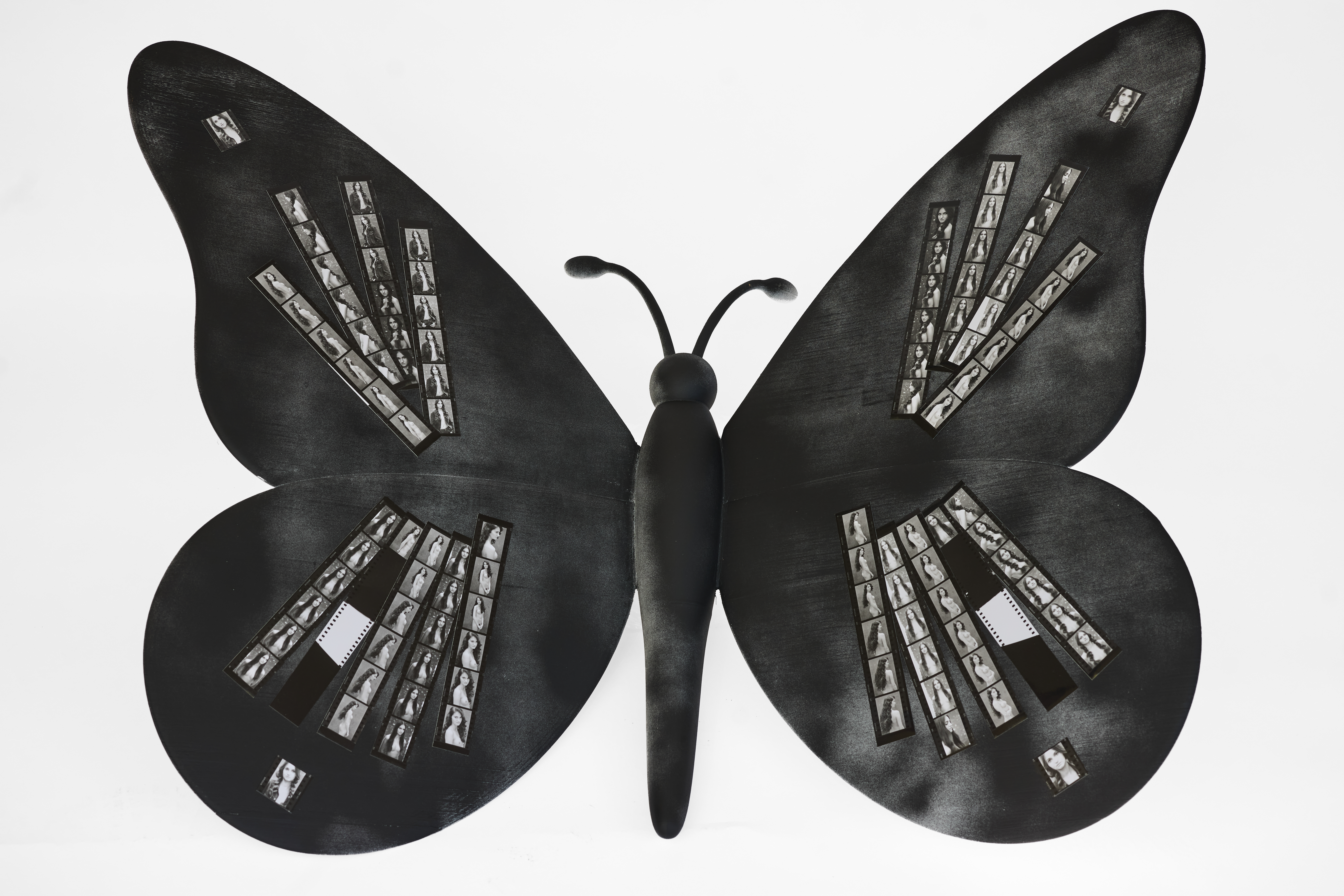 THE BUTERFLY EFFECT ERIC CECCARINI