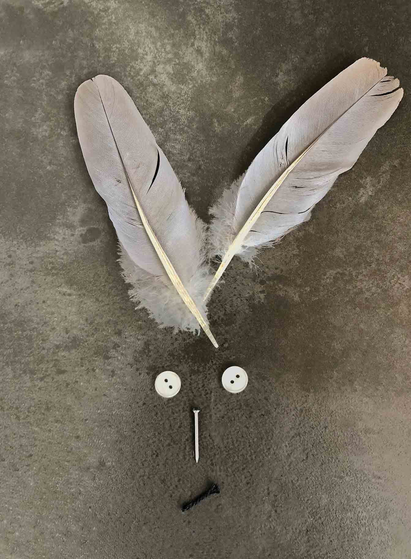 VALERIEBARKOWSKI PRIMITIVES MR BUNNY NR13 CREDIT VALERIE BARKOWSKI