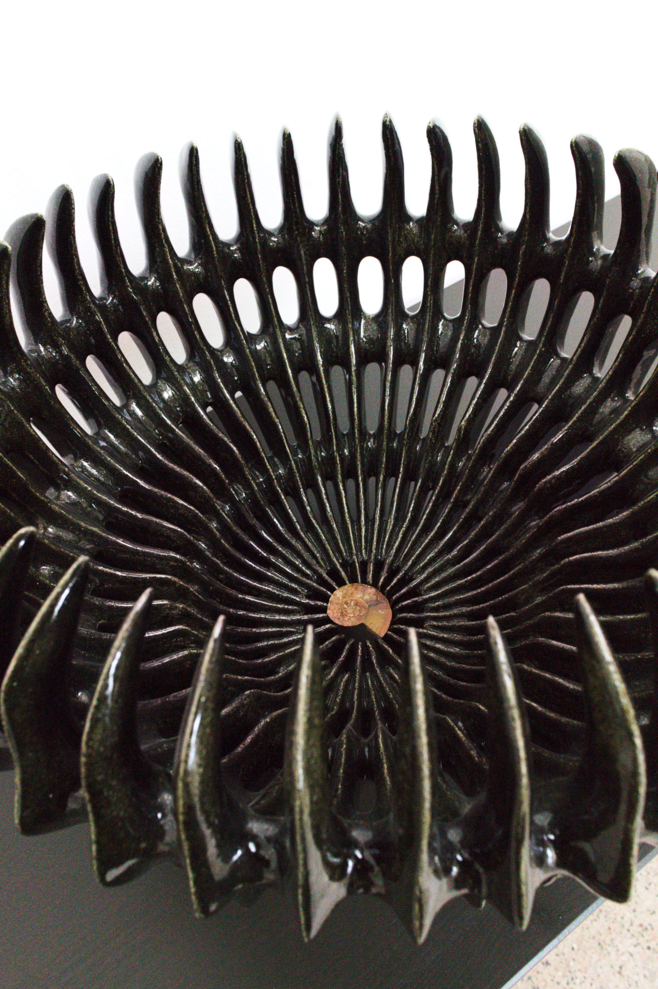 CB26 SKOG ART SPACE GALERIE LINDA MORELL SKIN OF THE VAMP GLAZED STONEWARE AMMONITE 24CM X 38CM CREDIT TOR S ULSTEIN KUNSTDOK 2024 