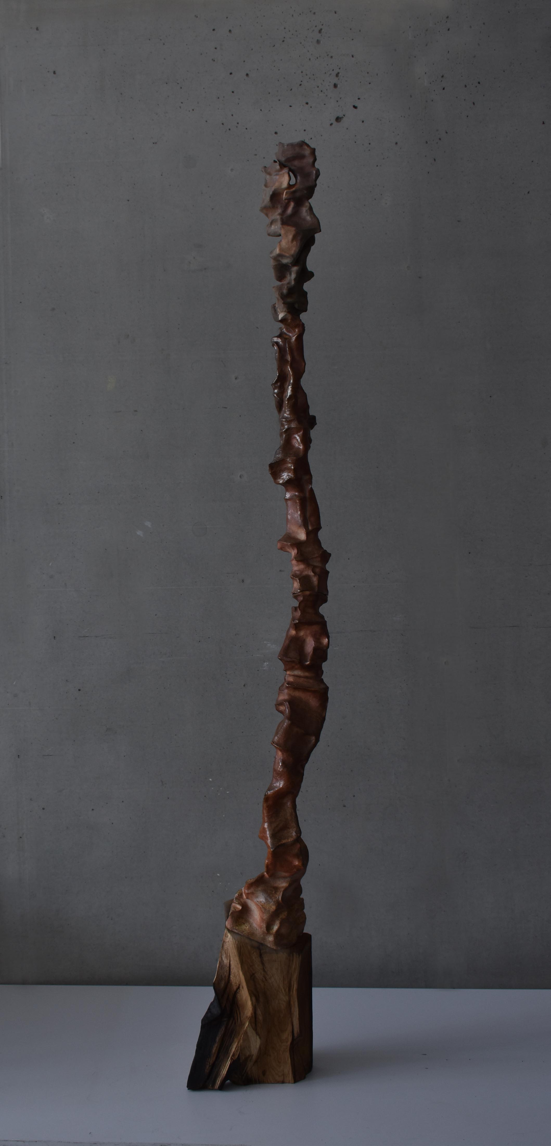 CB27 ARTPRIZE 27 DARIA KOWALEWSKA 2 LIFE FROM A TREE 2