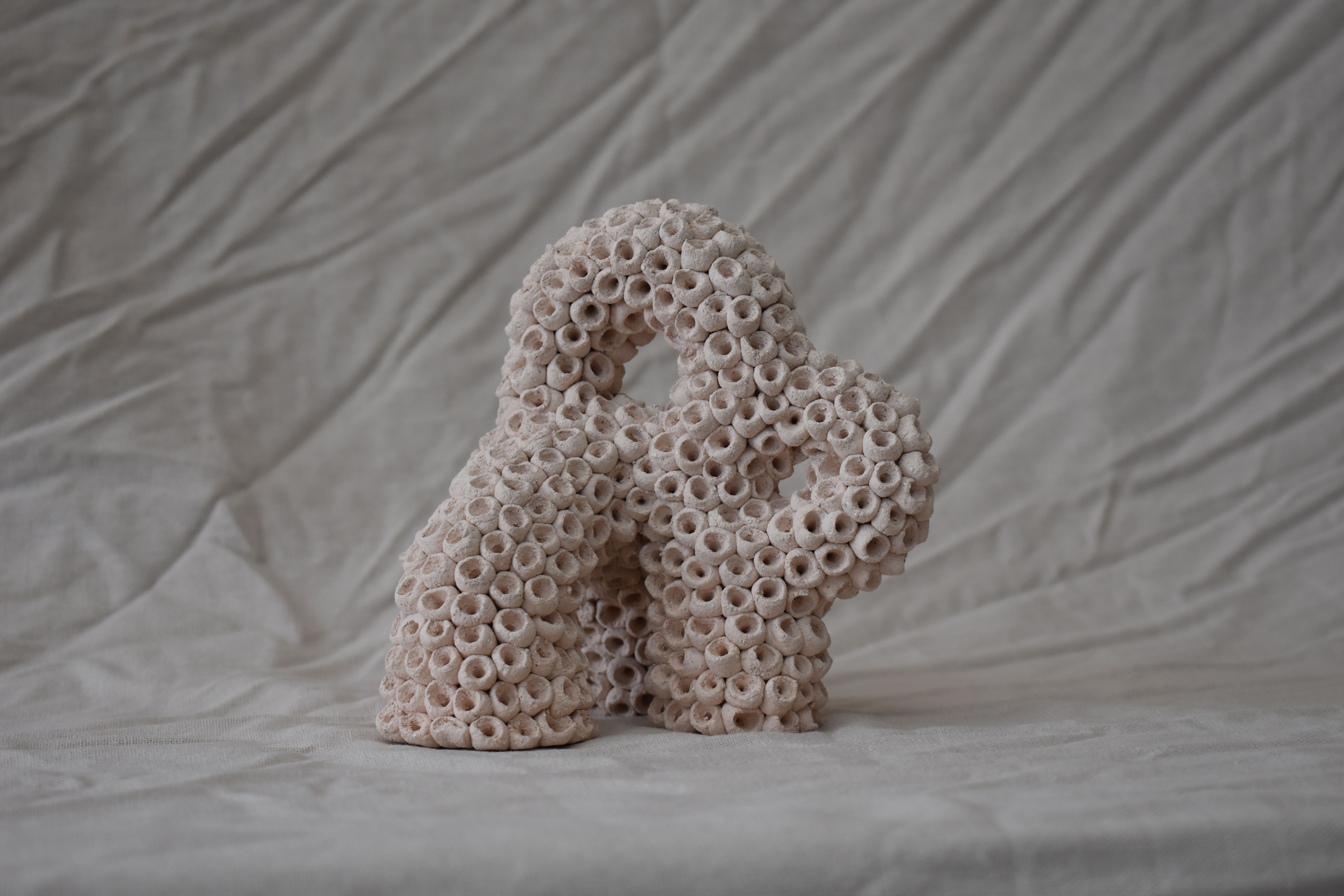 CB26 GALERIE ANNA MARRA DANA ZVULUN2