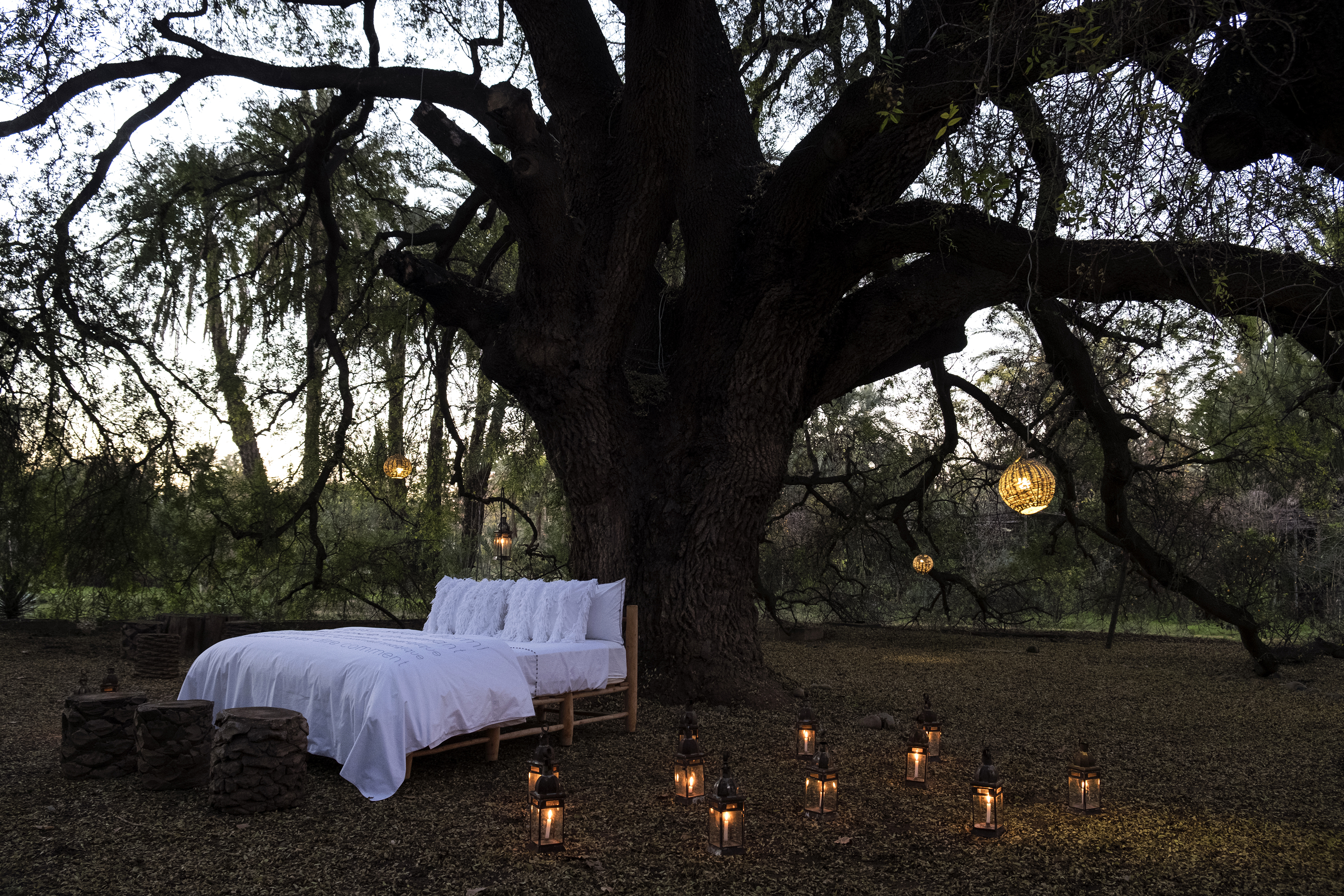 VALERIE BARKOWSKI BED LINEN UNDER THE TREE CREDIT DELPHINE WARIN