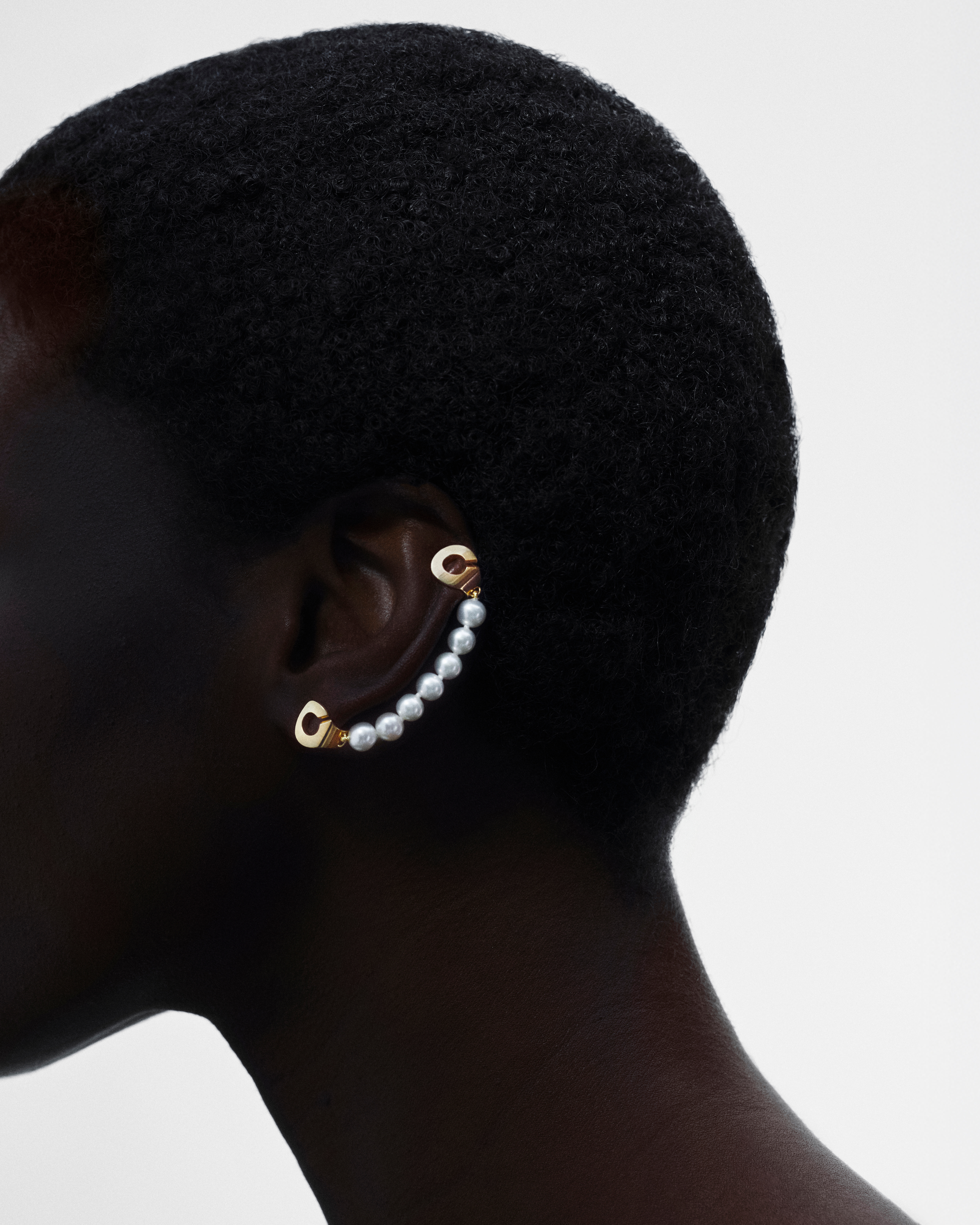 DINH VAN PEARLS DNA 02