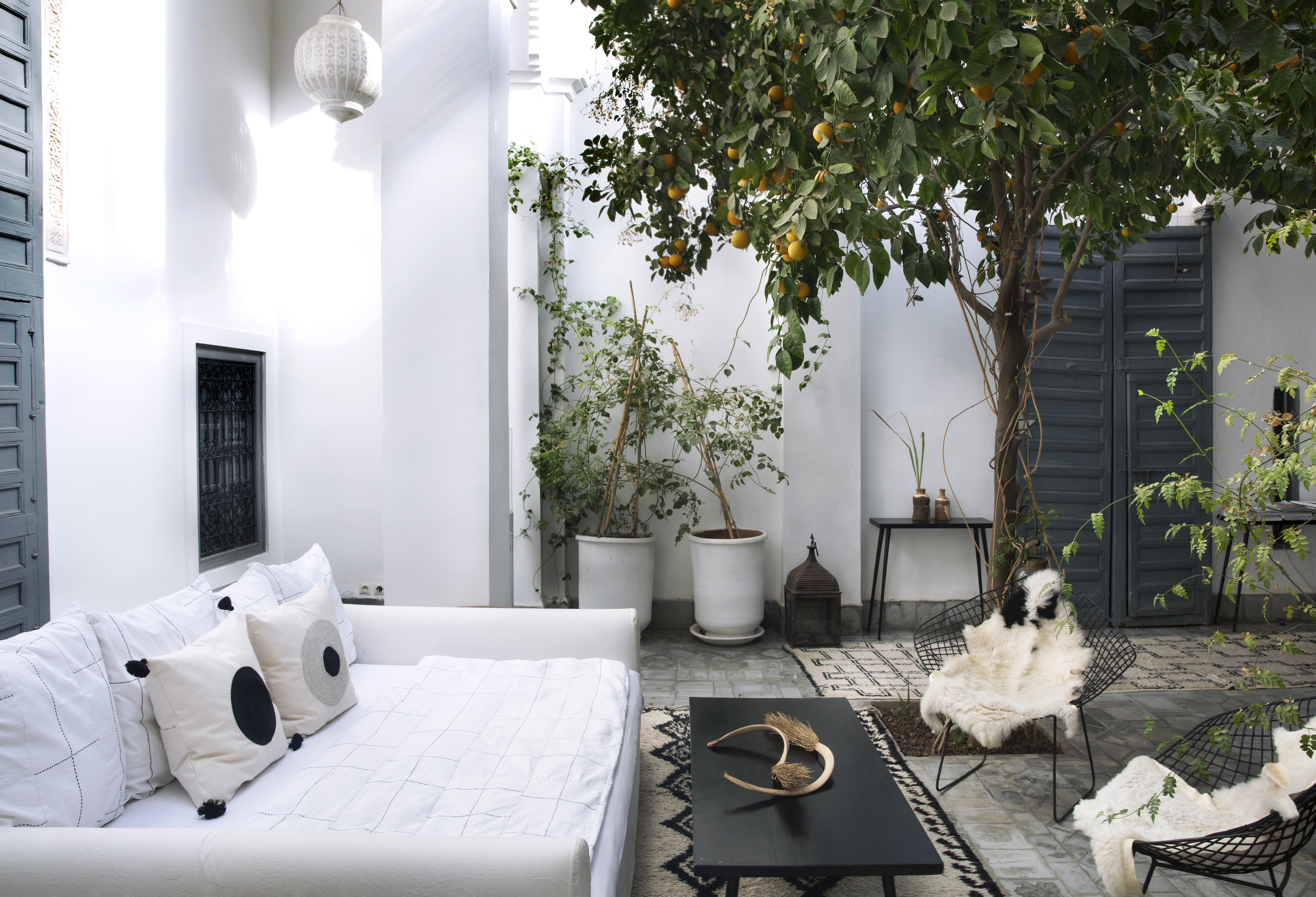 VALERIE BARKOWSKI DAR KAWA CREDIT PATIO TANIA PANOVA 7