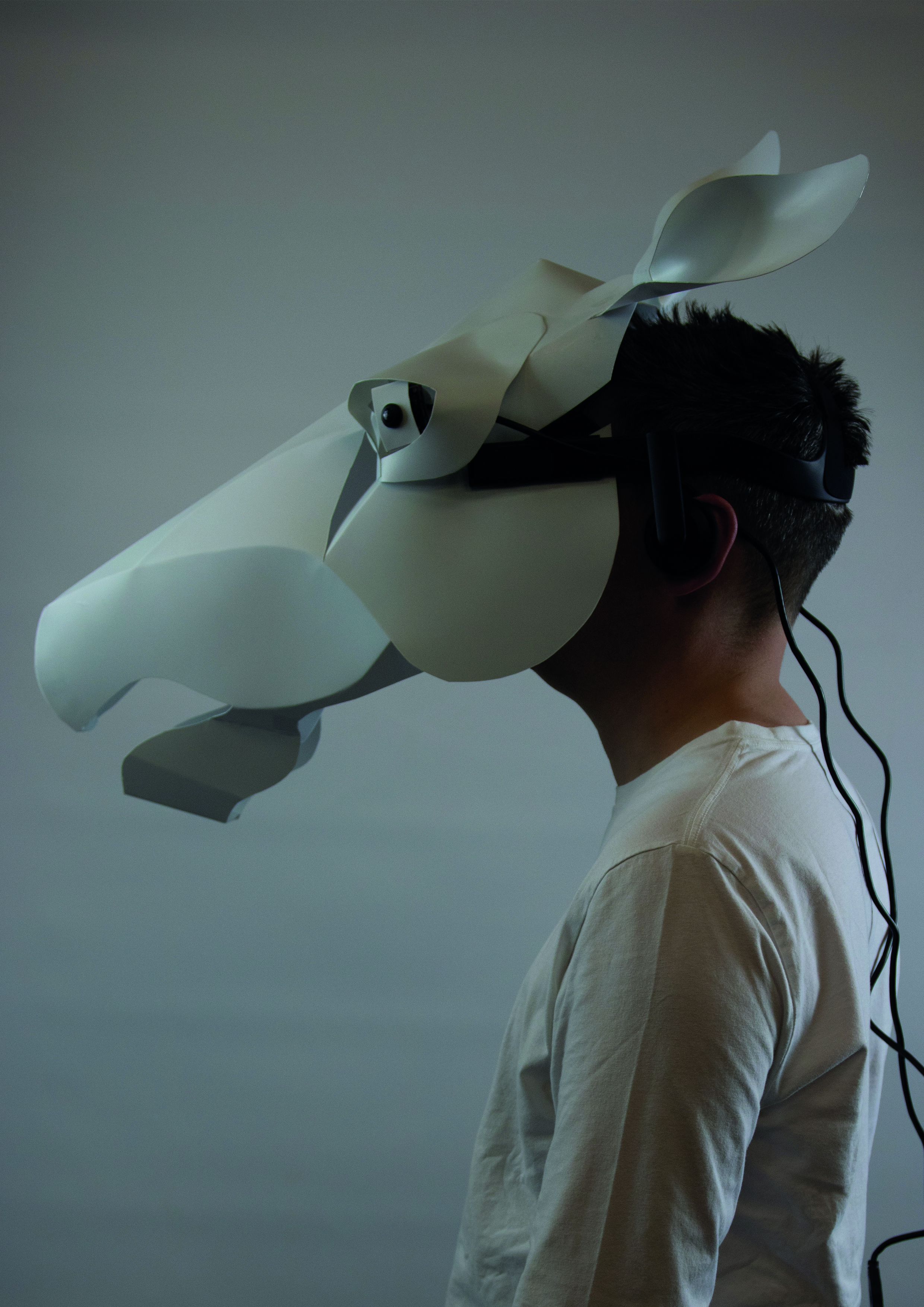 CID SPD68 ALAN HOOK EQUINE EYES PROTOTYPE006 CREDIT VINCENT O CALLAGHAN