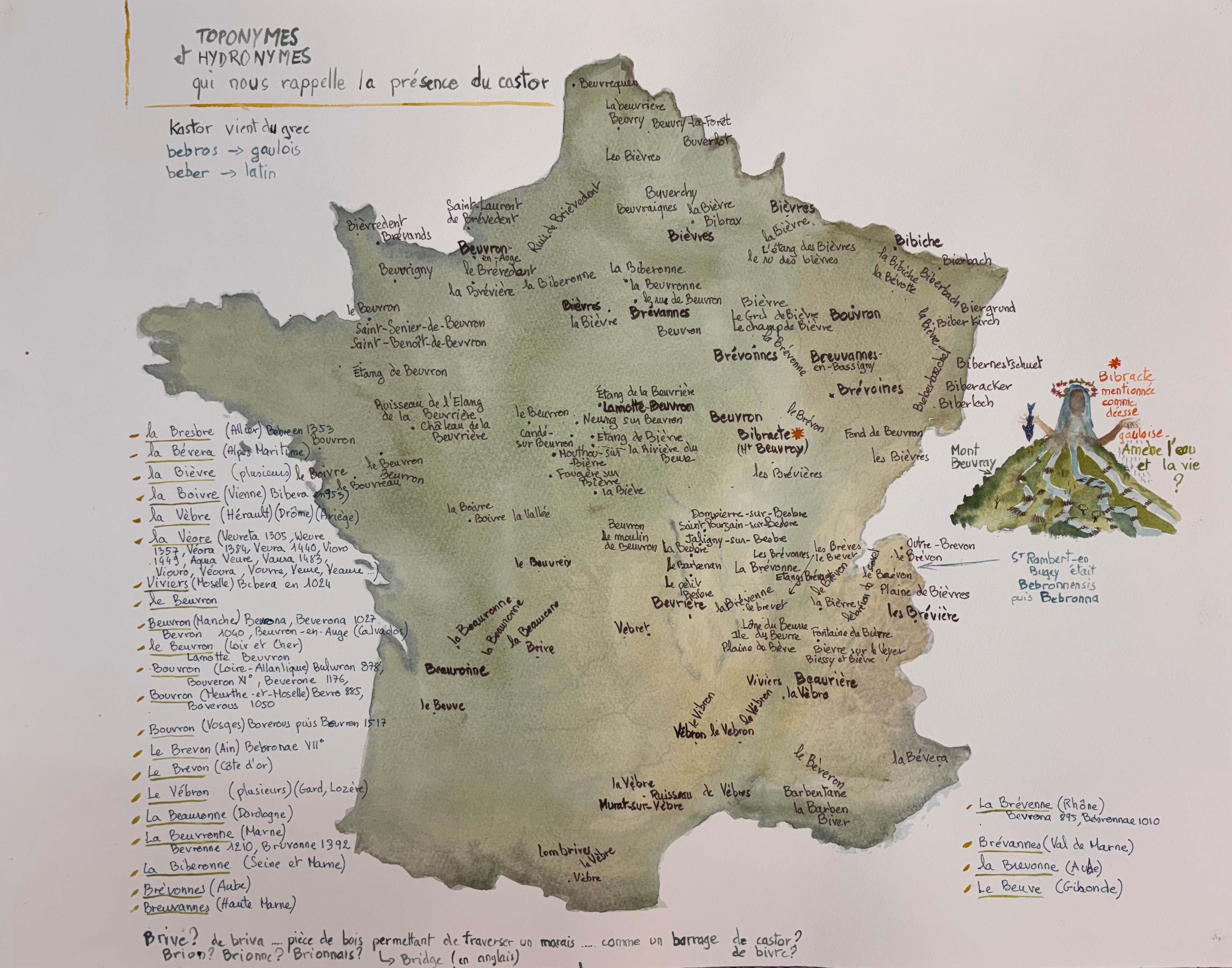 CID MEMO (MEMO32) SUZANNE HUSKY CASTOR FIBER COURTESY GALERIE ALAIN GUTHARC