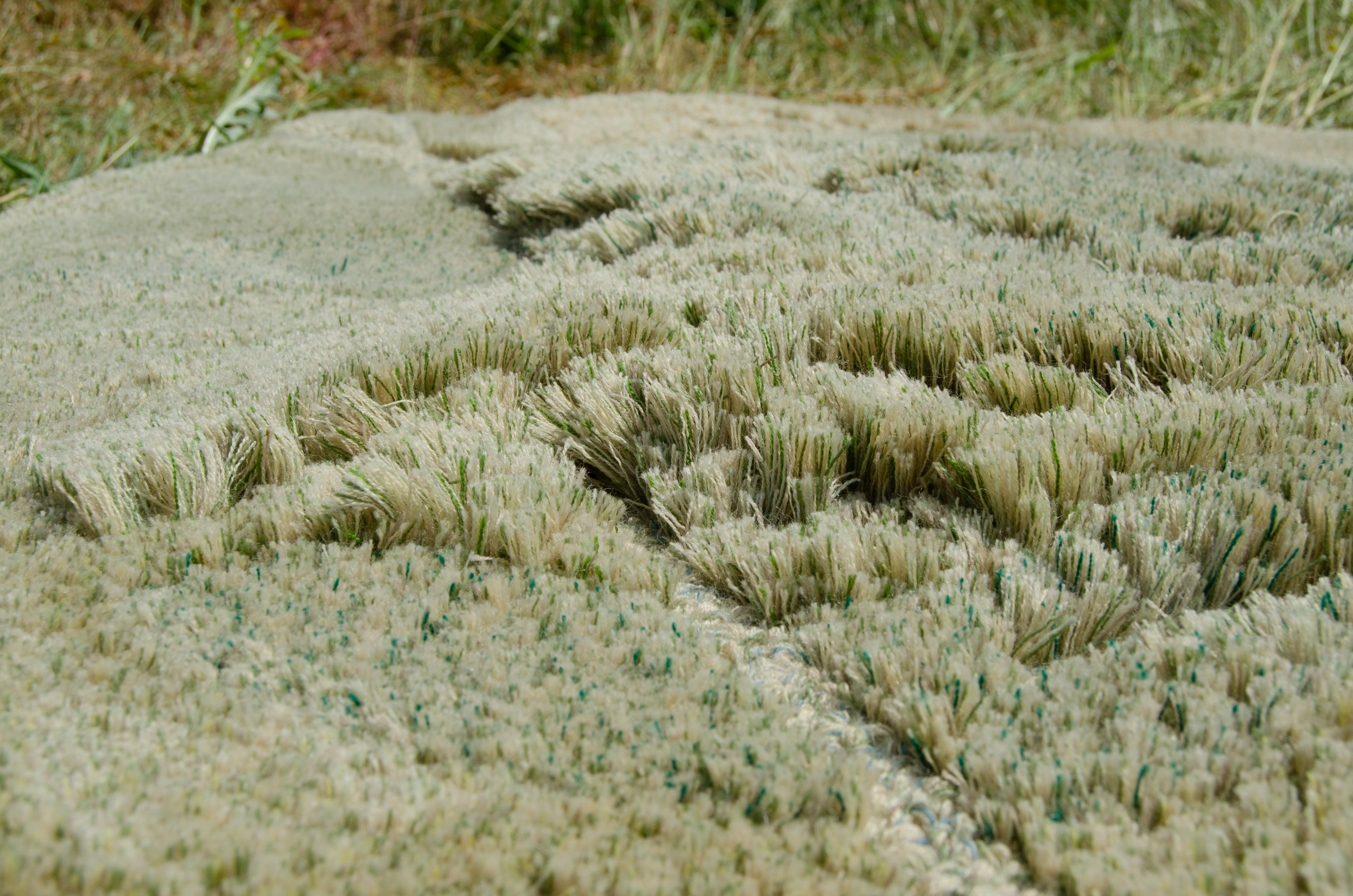 CID MEMO (MEMO05) LISELOT COBELENS DRYLAND 2022 PHOTO LISELOT COBELENS