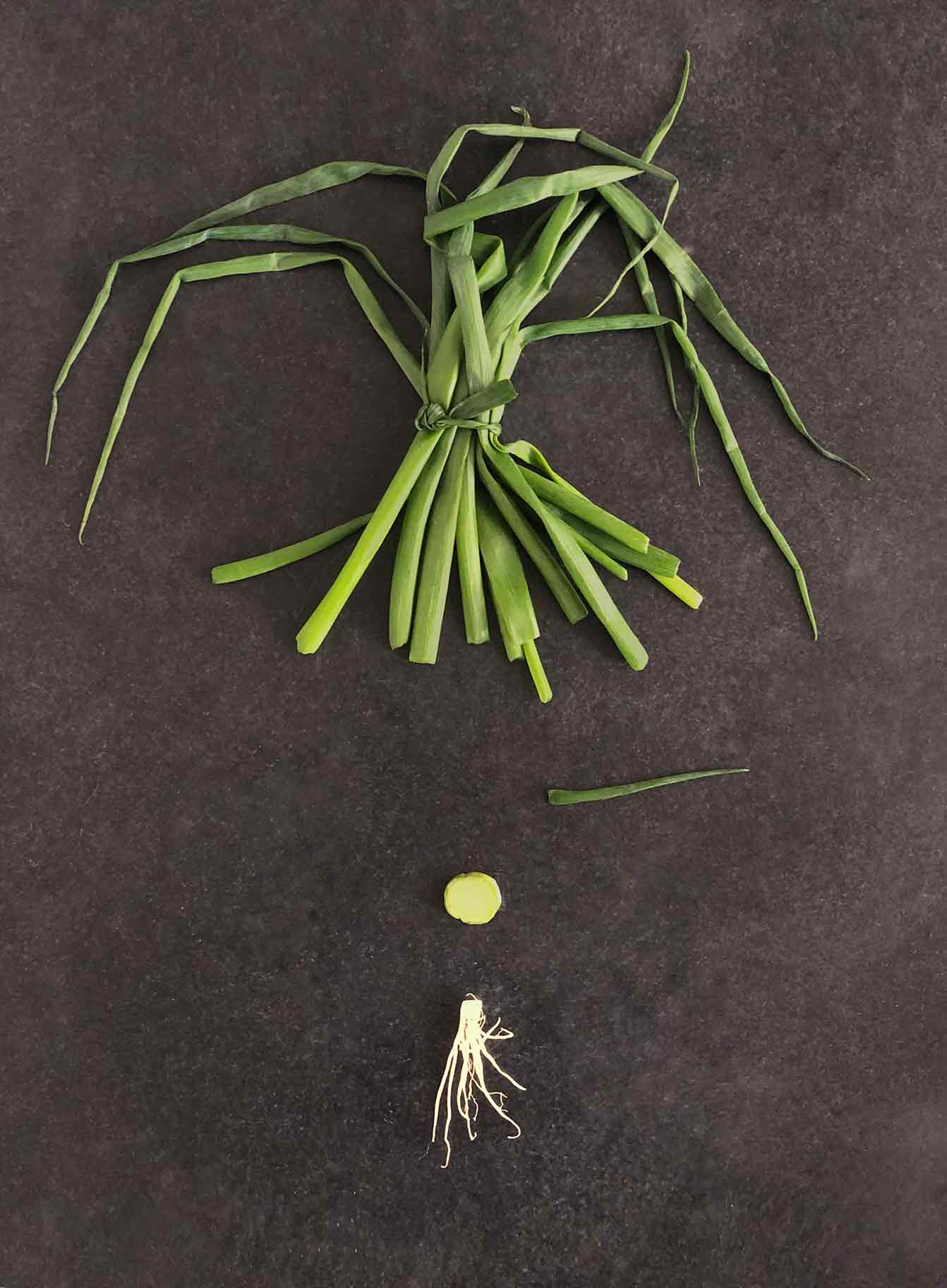 VALERIEBARKOWSKI ETHNICS MR MUSASHI NR18 CREDIT VALERIE BARKOWSKI