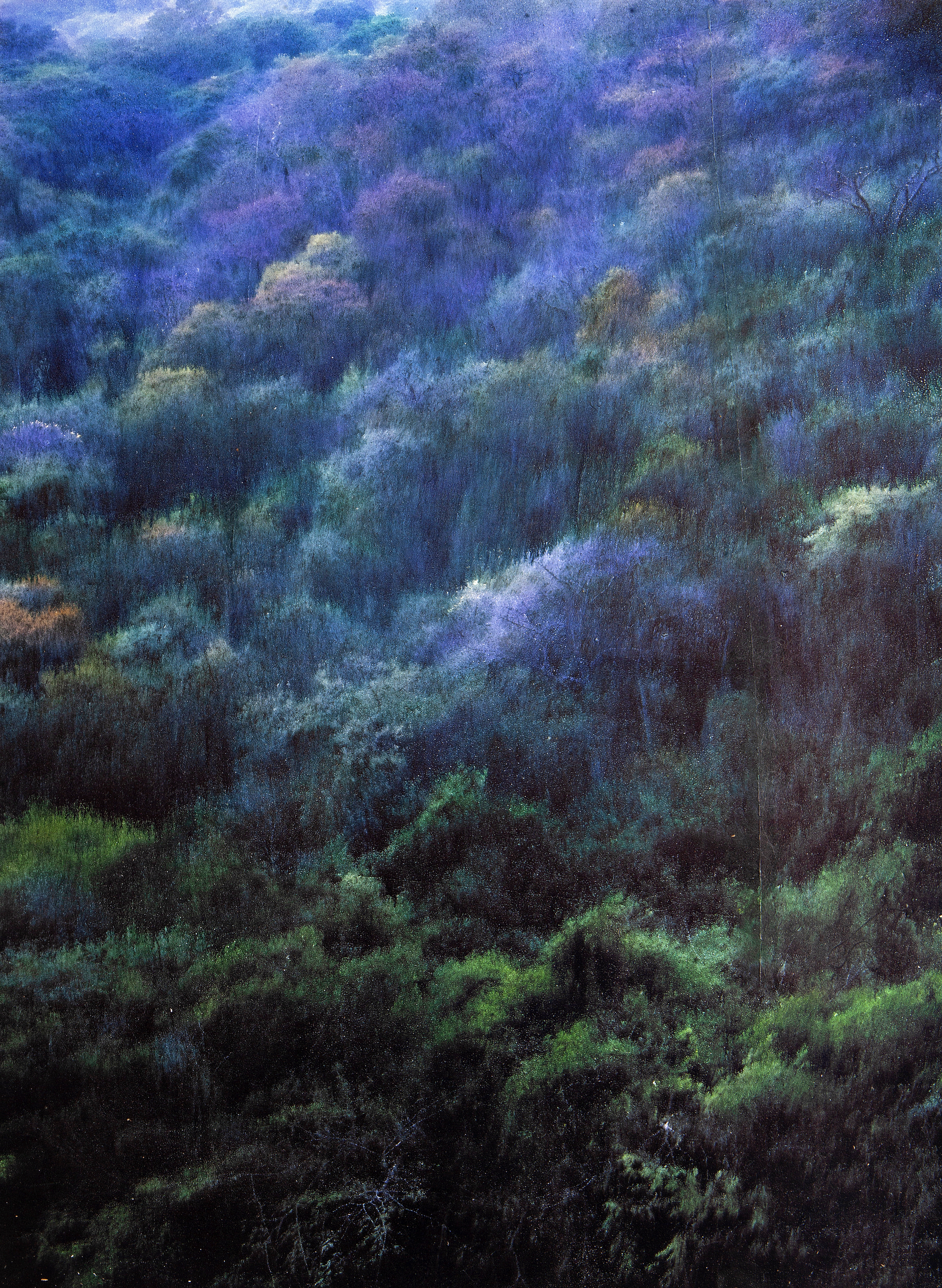 AAF26 FRAGILE CONCEPT ILAN WEISS BLUE CANOPY 2025 FINE ART PRINT PAINTING (FAPP) 75X55CM 1500EUR