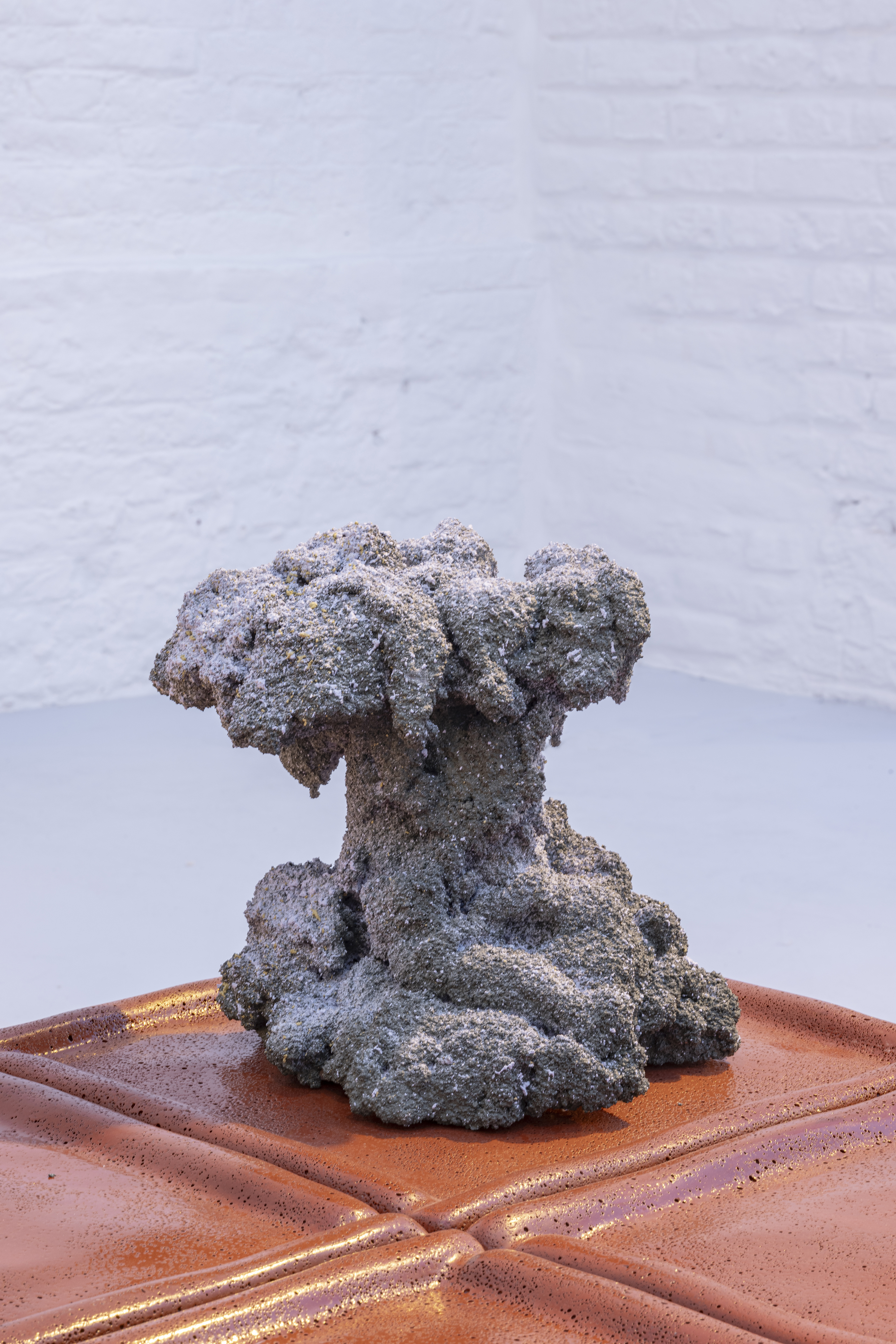 PATRICIA URQUIOLA CID CAROLINE DETHIER 102