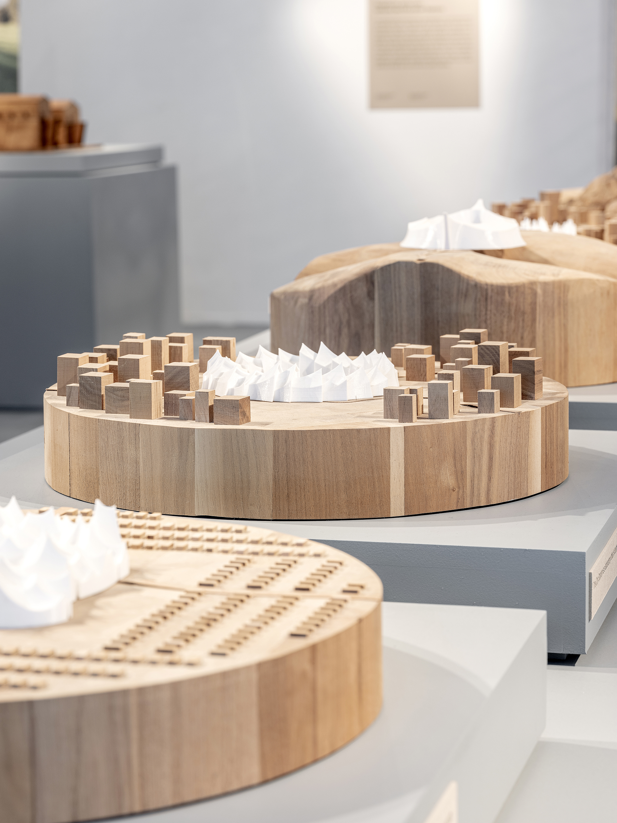 CID DE LUCCHI 69 CRED CAROLINE DETHIER