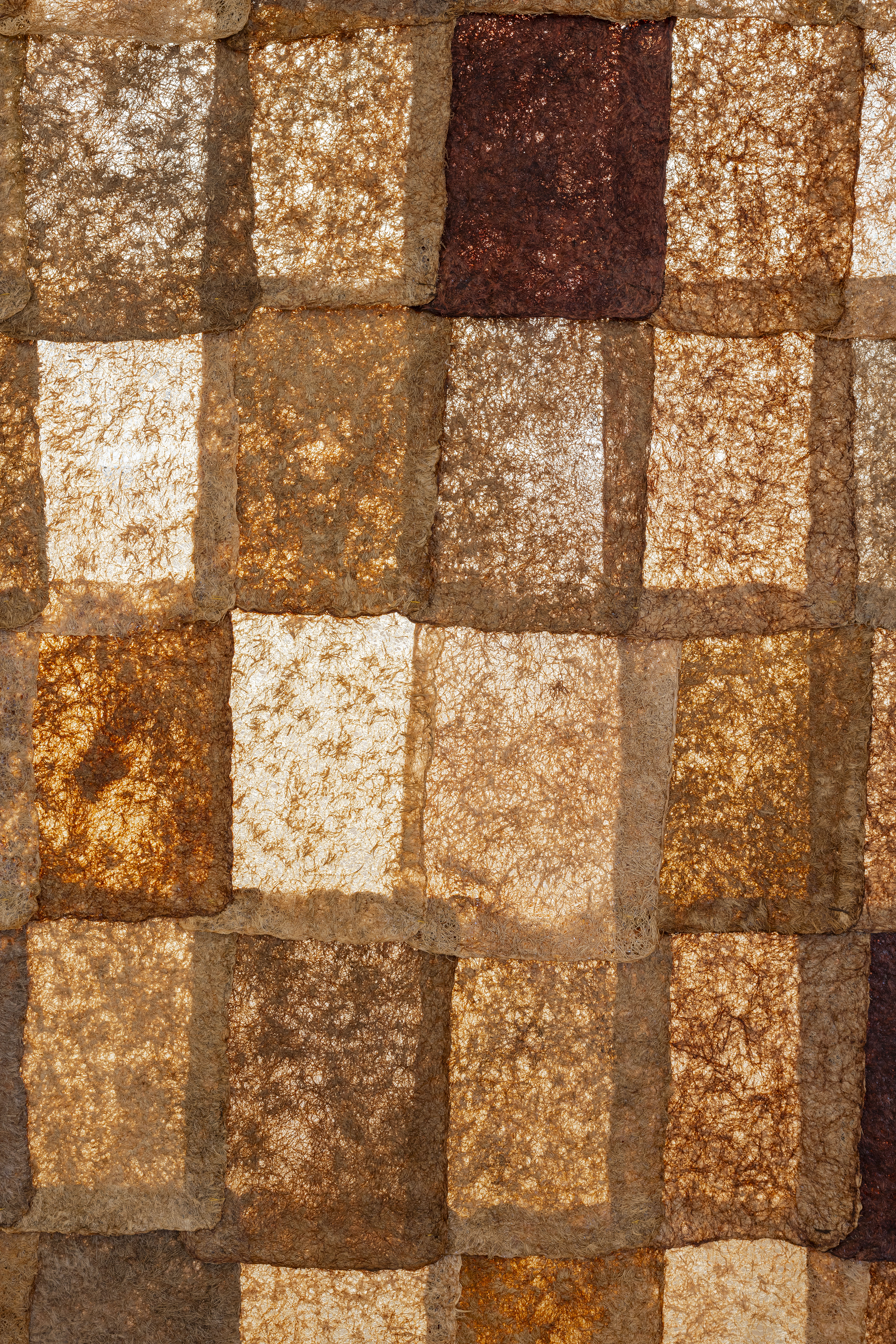 CID WOVEN WHISPERS CAROLINE DETHIER 50