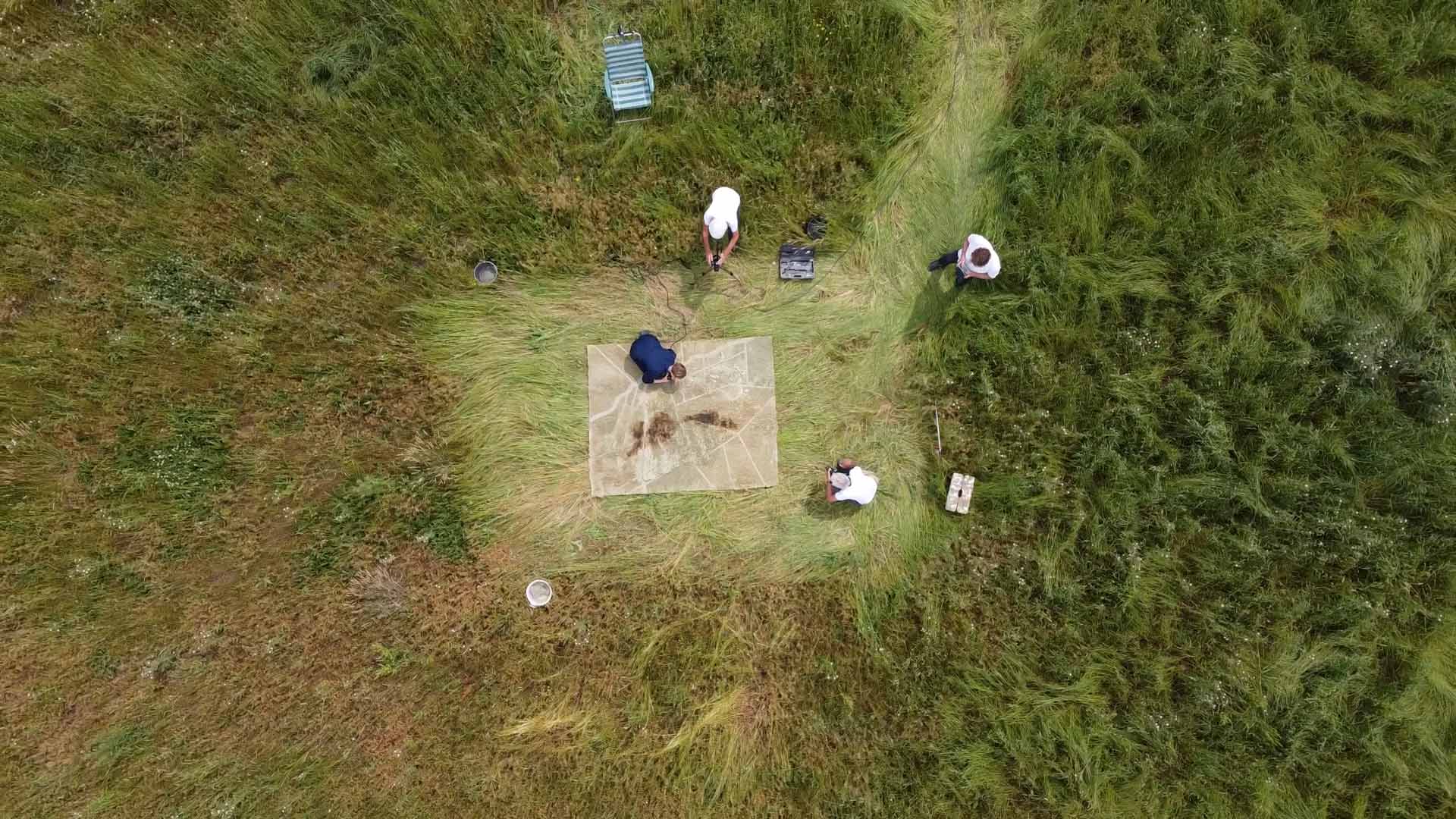 CID MEMO (MEMO04) LISELOT COBELENS DRYLAND 2022 PHOTO LISELOT COBELENS