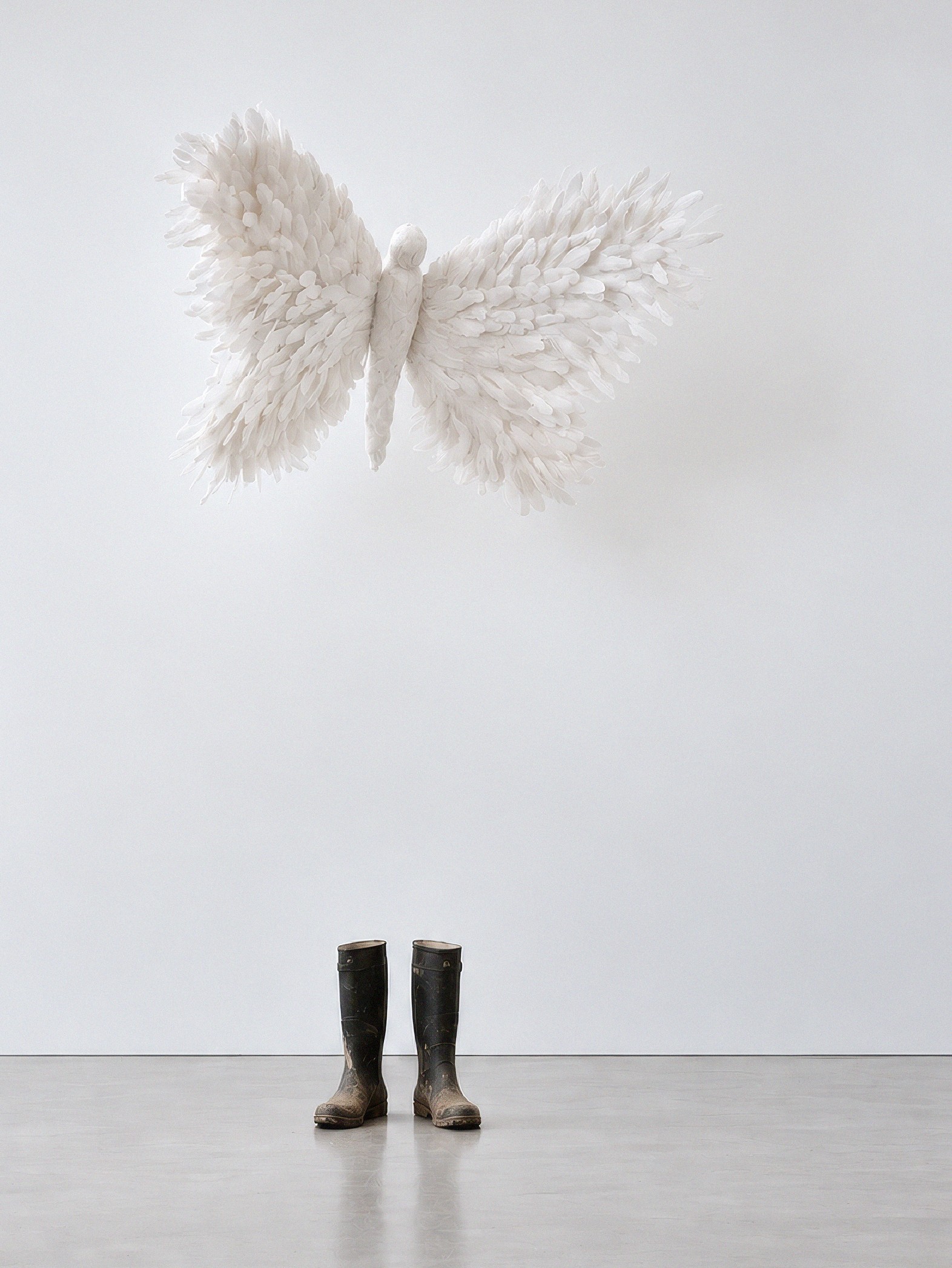 THE BUTTERFLY EFFECT JEAN FRANCOIS D OR