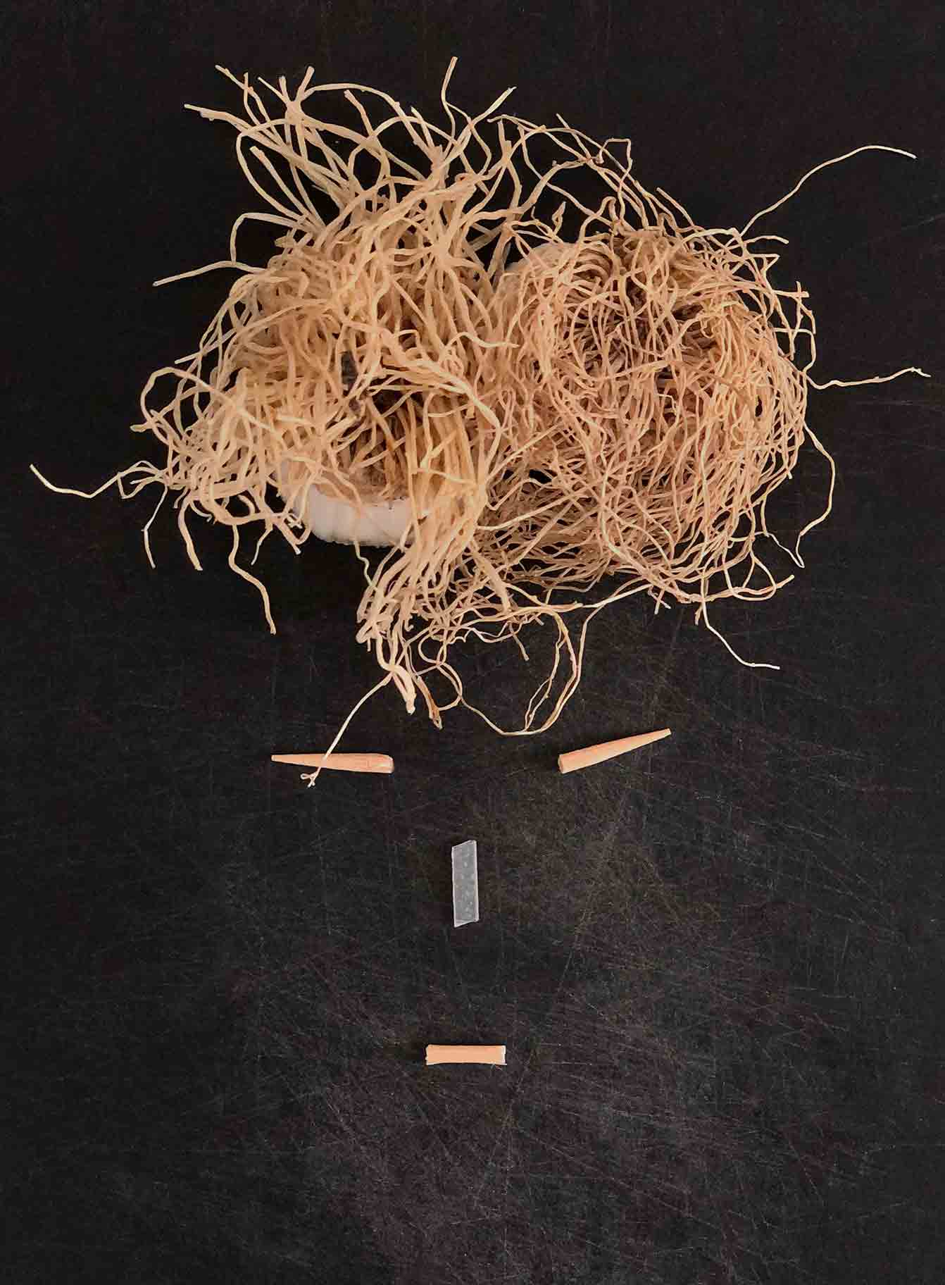 VALERIEBARKOWSKI PRIMITIVES CRAZY ROOTS NR35 CREDIT VALERIE BARKOWSKI