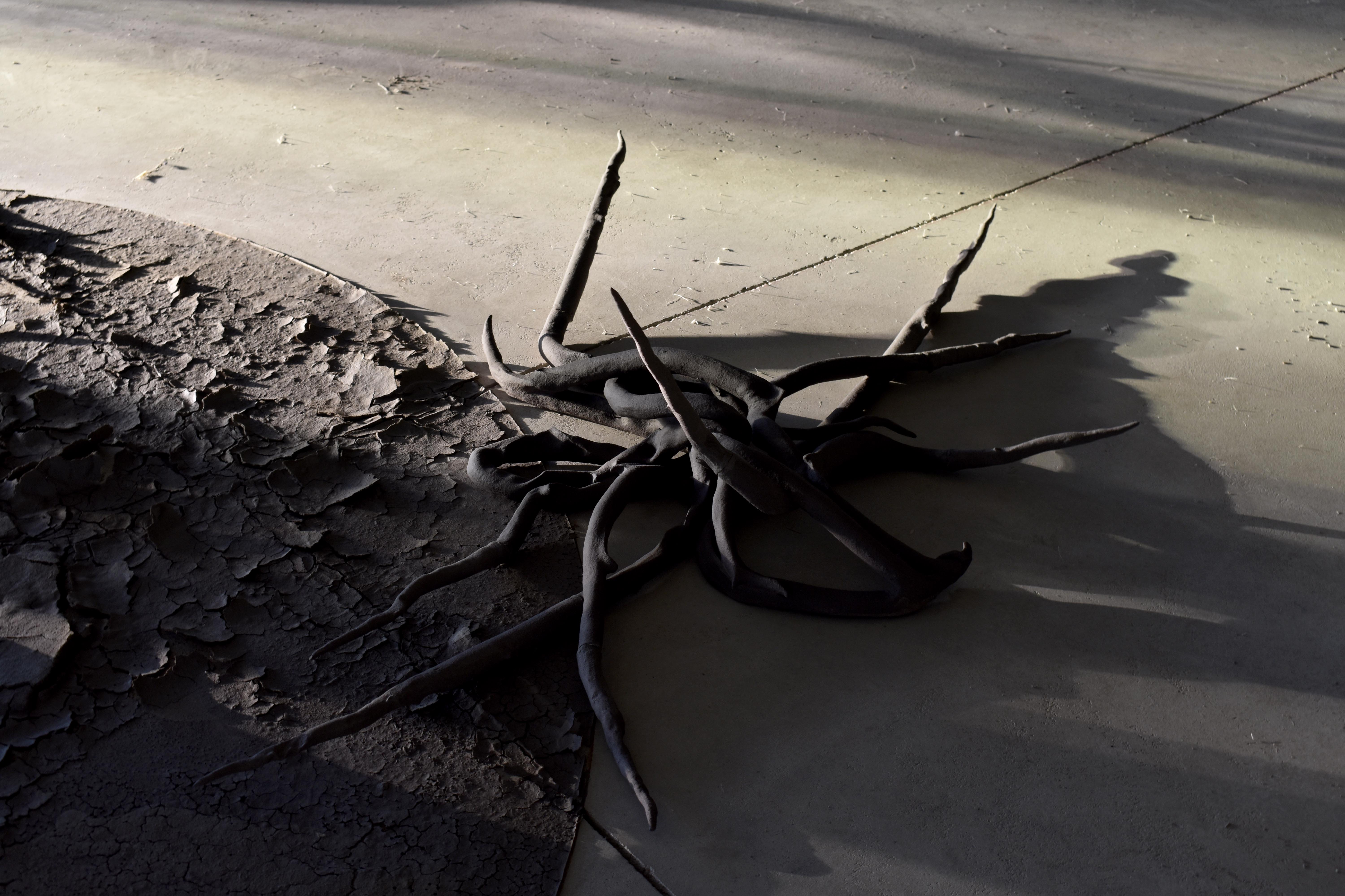 CB27 ARTPRIZE 27 DARIA KOWALEWSKA 4 RUSTLING IMAGINATION SERIES