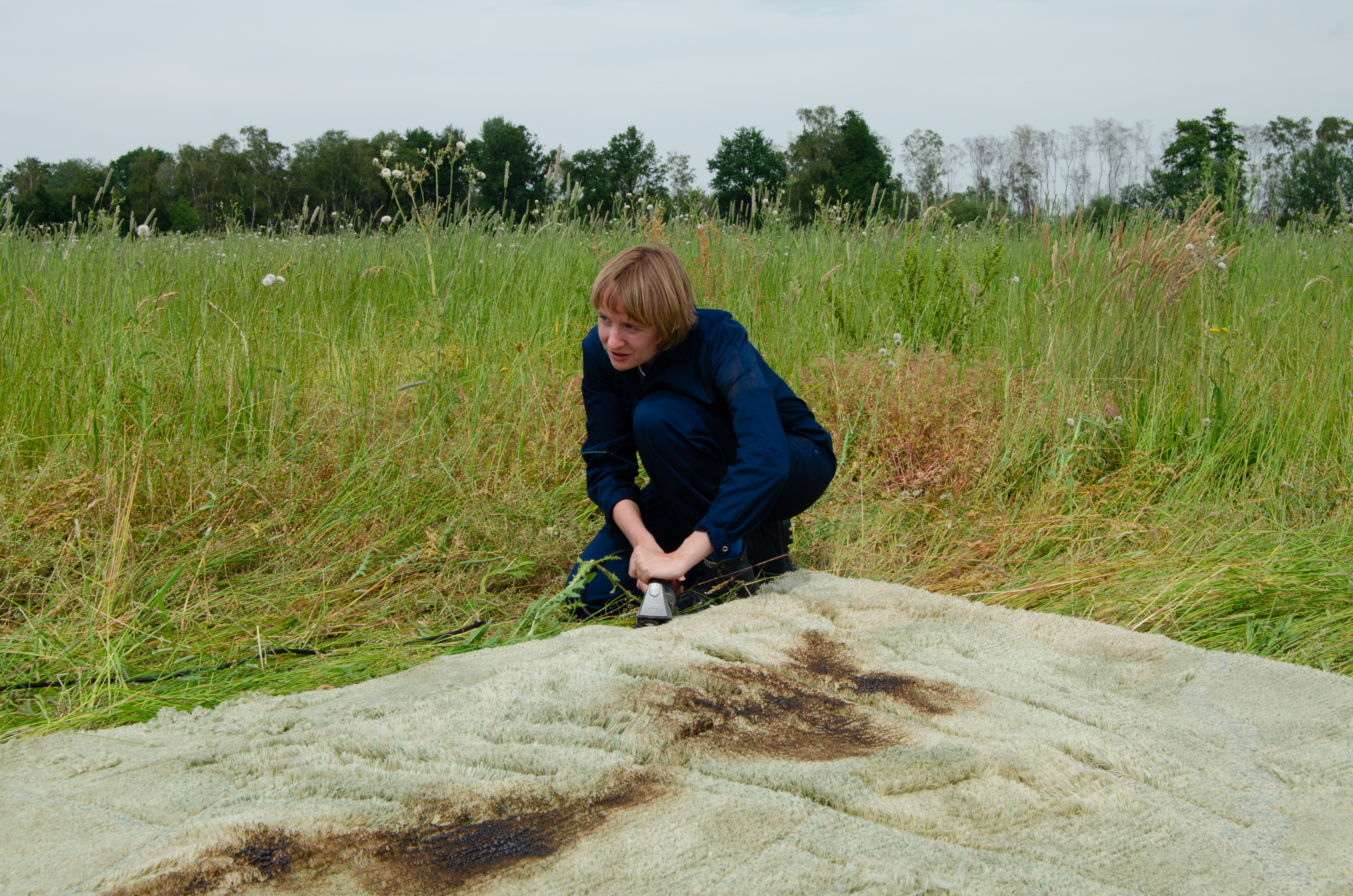 CID MEMO (MEMO06) LISELOT COBELENS DRYLAND 2022 PHOTO LISELOT COBELENS