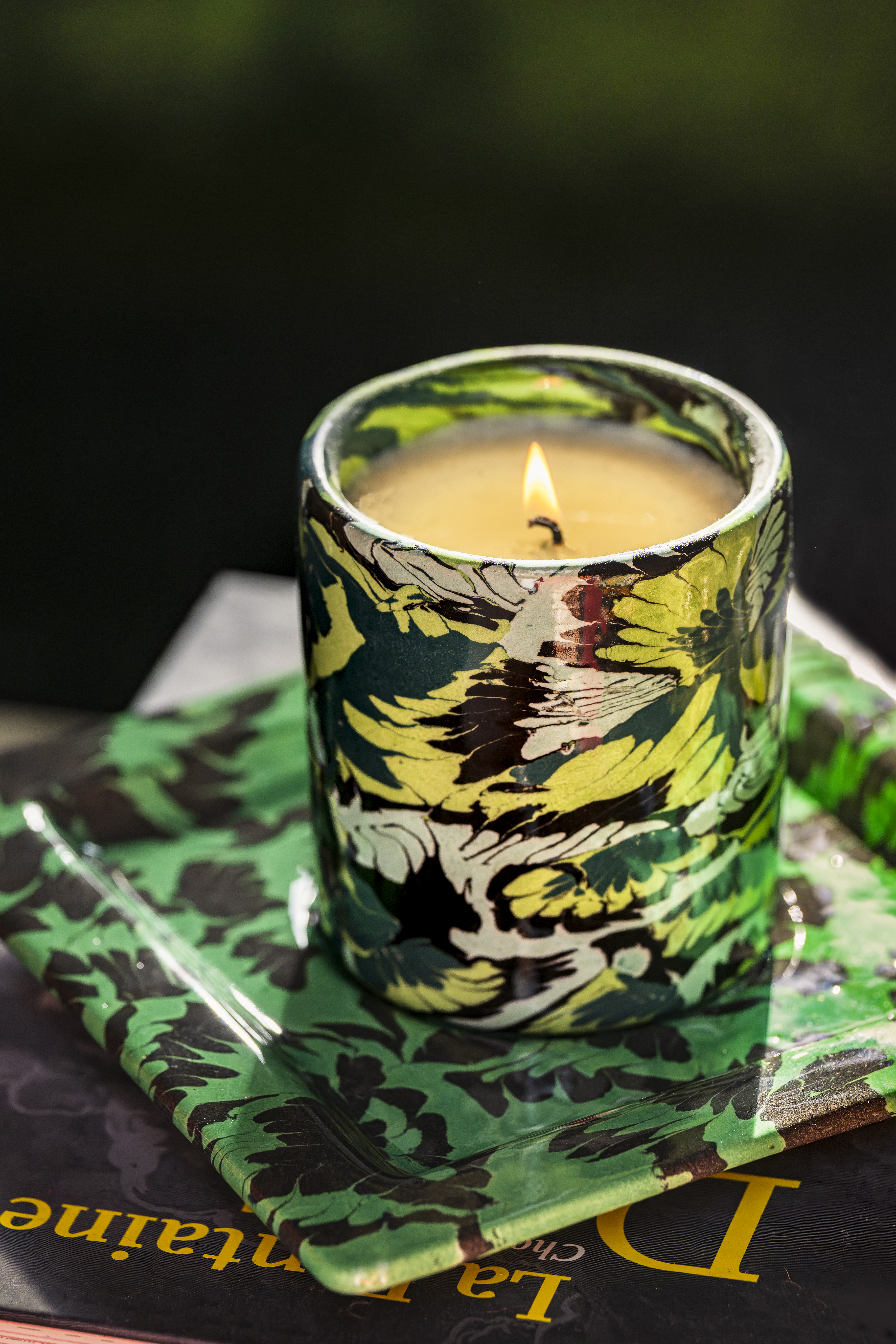 GILLES DEWAVRIN CREDIT CLAUDE SMEKENS SHOO (4)