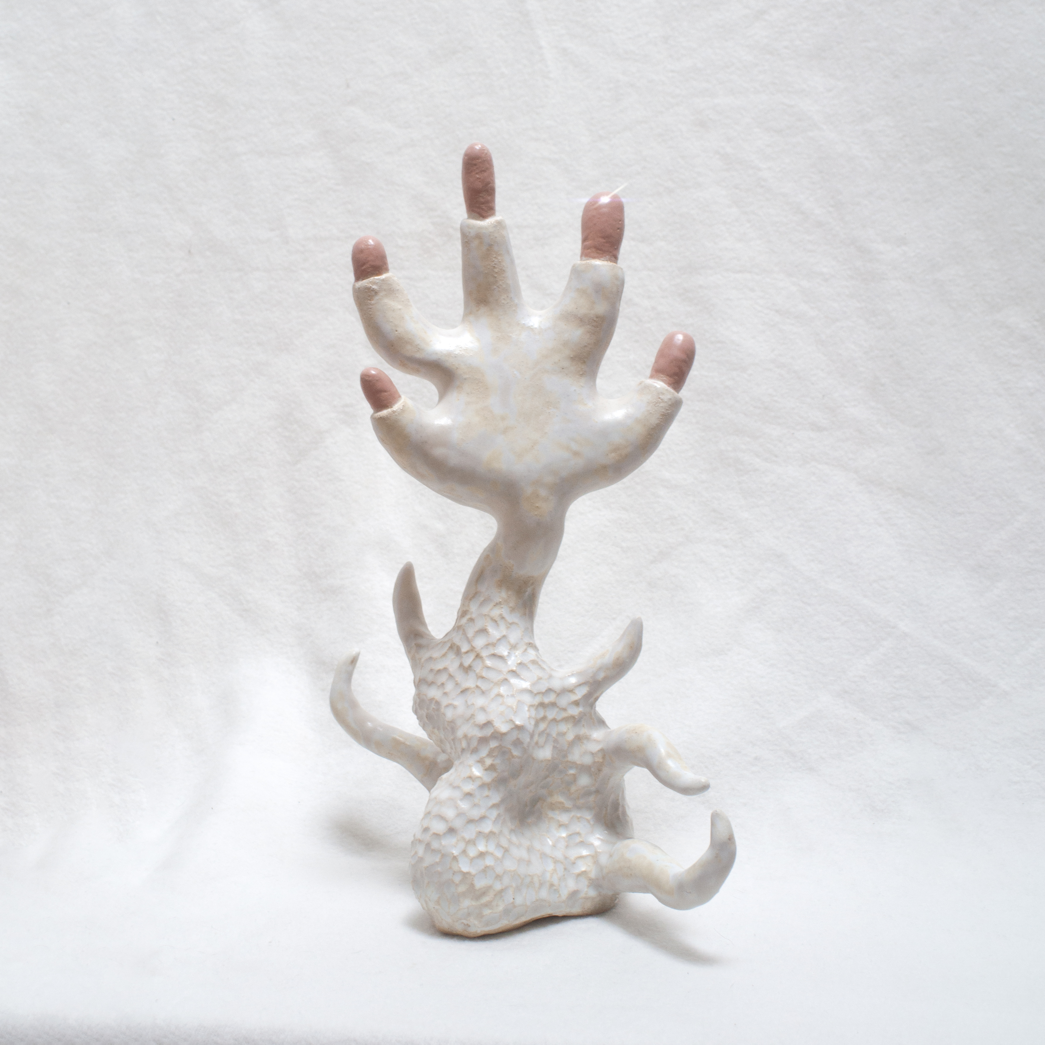 CERAMIC BRUSSELS 2026 ART PRIZE ANGELIKA STEFANIAK FICUS