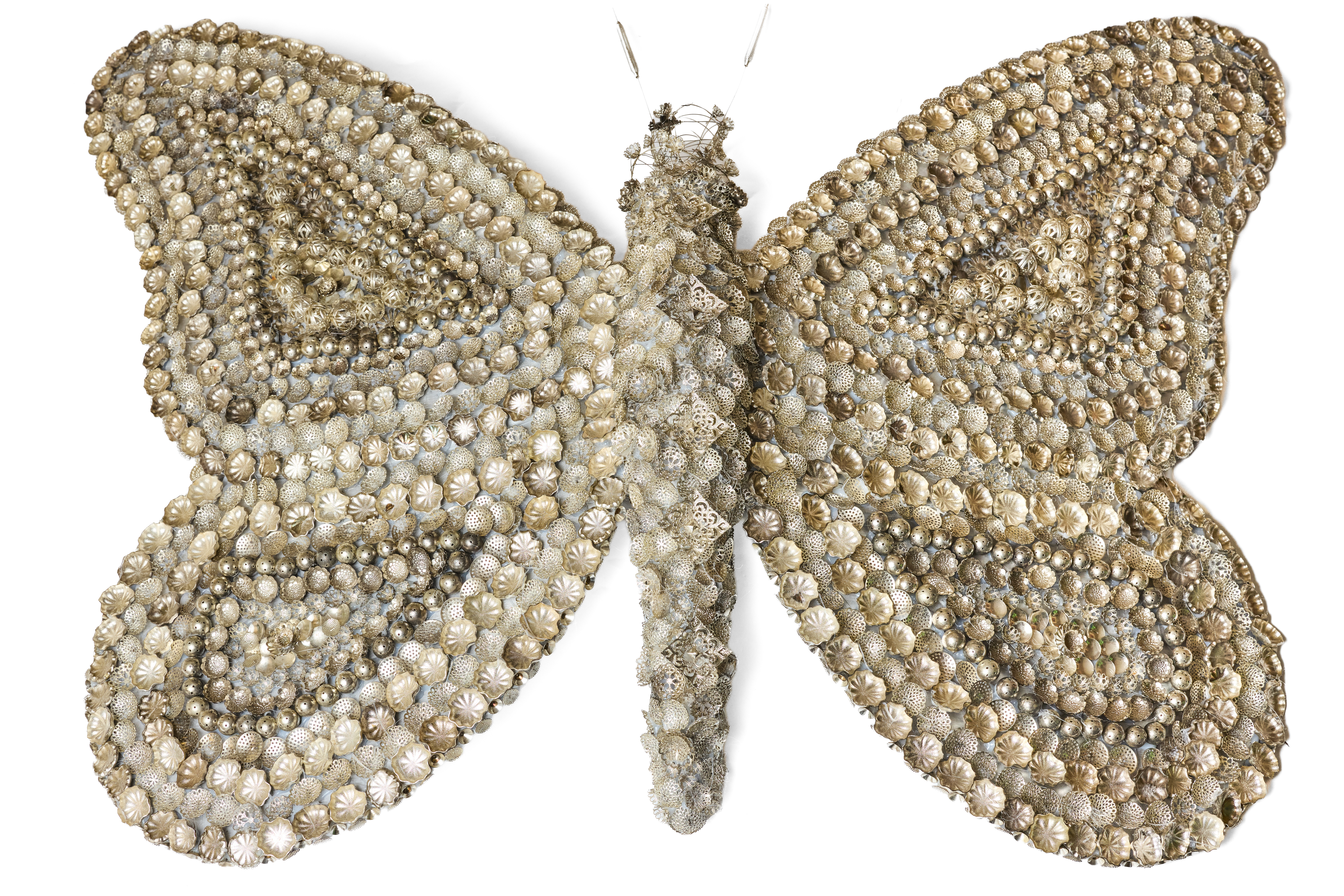 THE BUTERFLY EFFECT ELVIS POMPILIO