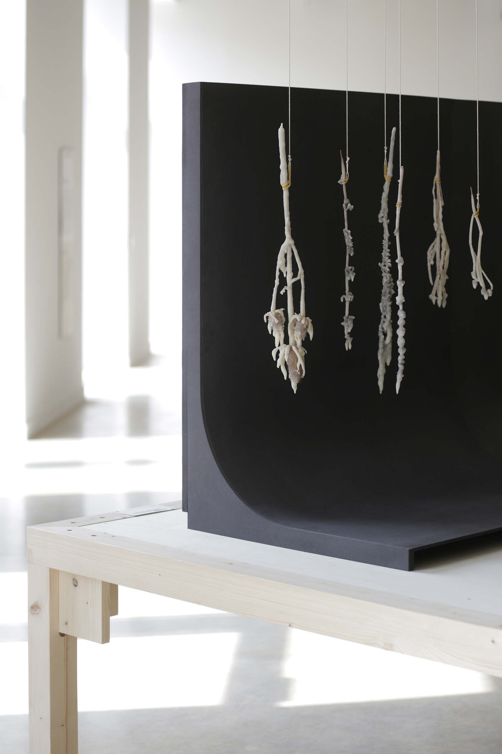 CID MEMO (MEMO13) YSENIA THIBAULT PICAZO METAMORPHOSIS OF A HERD PHOTO YSENIA THIBAULT PICAZO