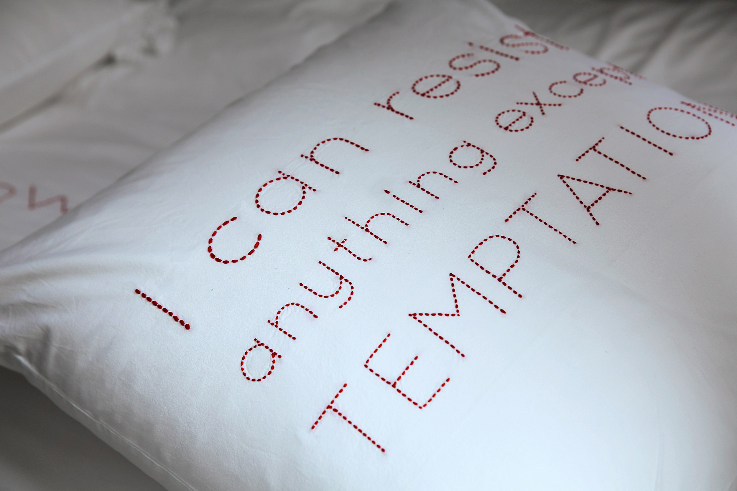 VALERIE BARKOWSKI BED LINEN BLANC ORPHEUS CARMIN DETAIL CREDIT TANIA PANOVA 3