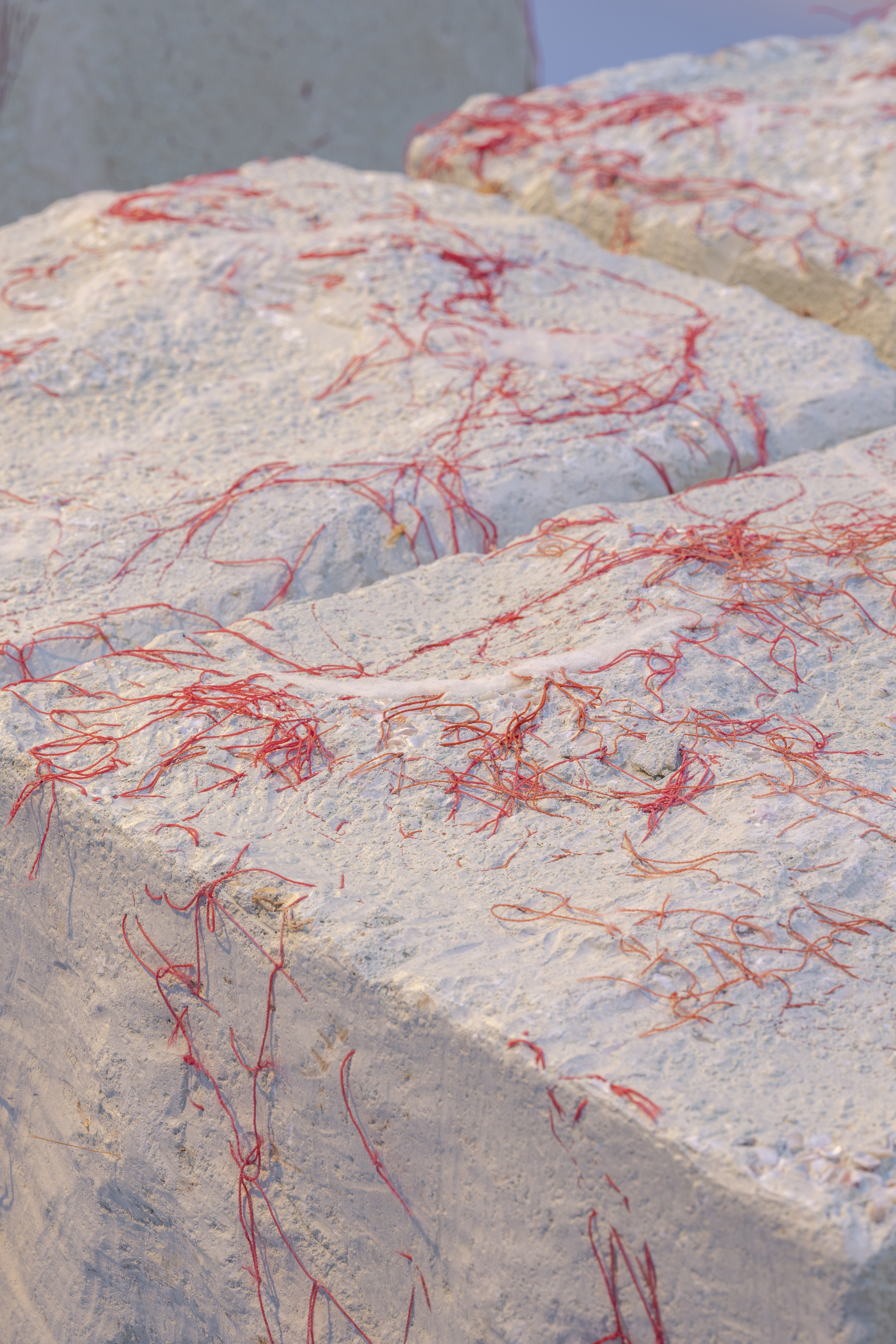 PATRICIA URQUIOLA CID CAROLINE DETHIER 89B